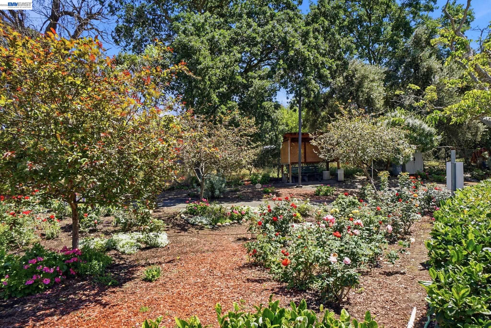 Photo #36: 41132389 Listing: Photo #36