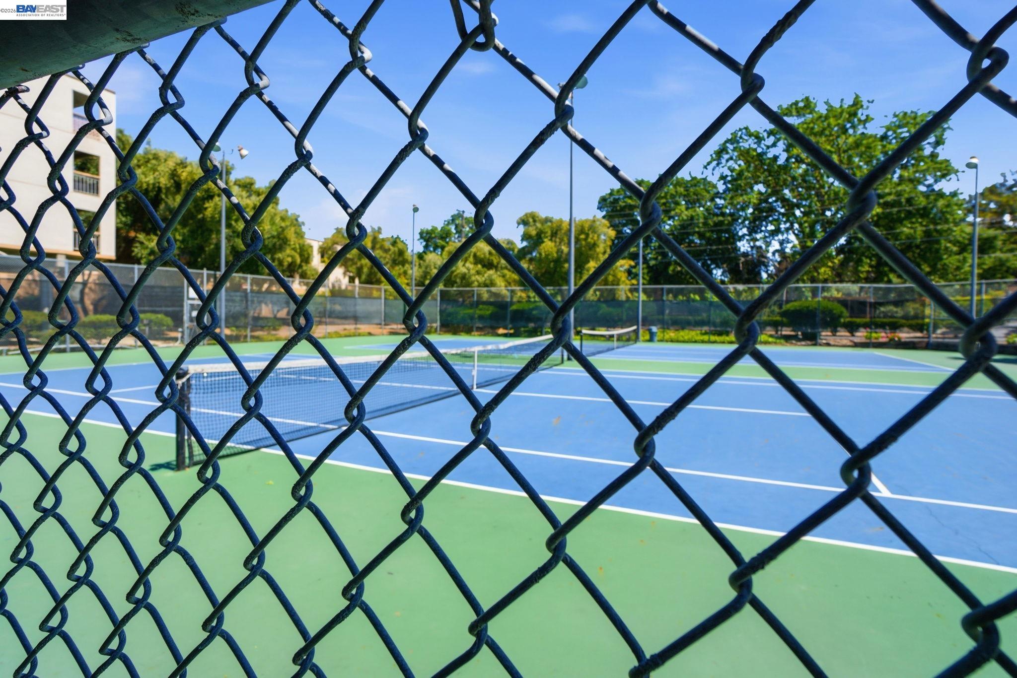 Photo #39: 41132389 Listing: Photo #39