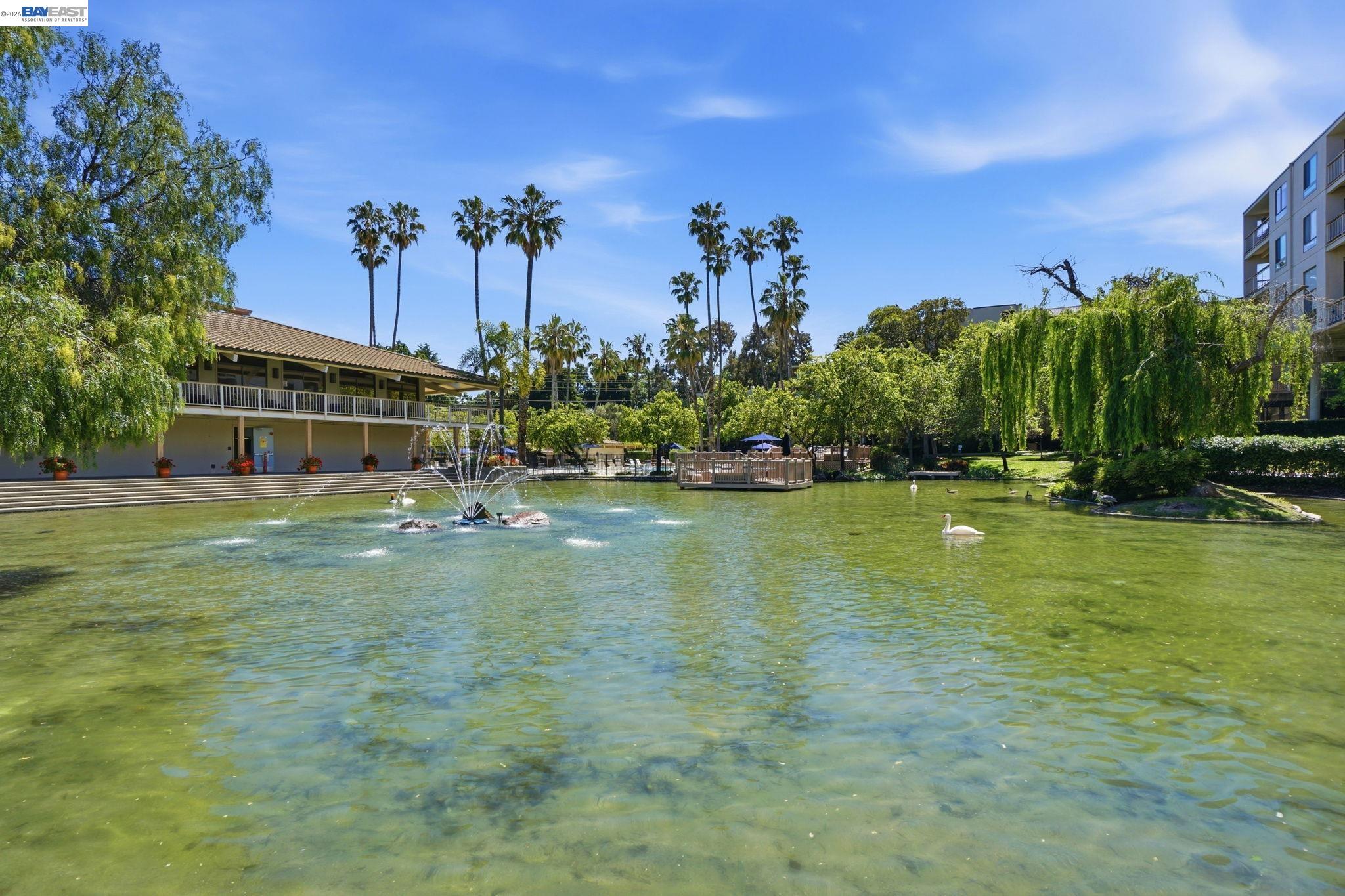 Photo #42: 41132389 Listing: Photo #42