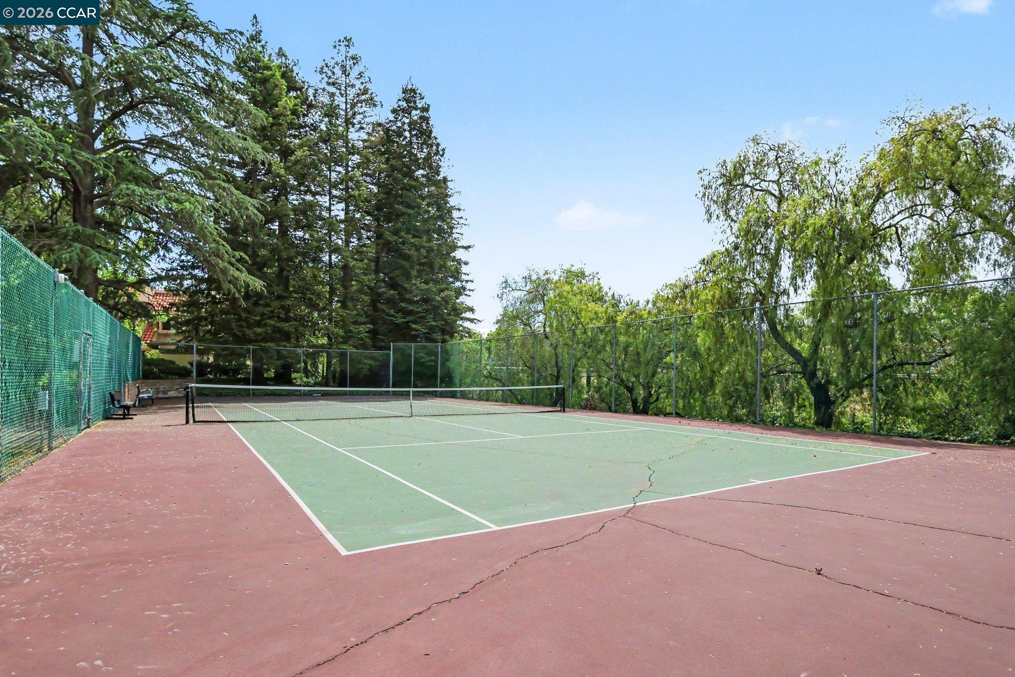 Photo #20: 41132416 Listing: Photo #20