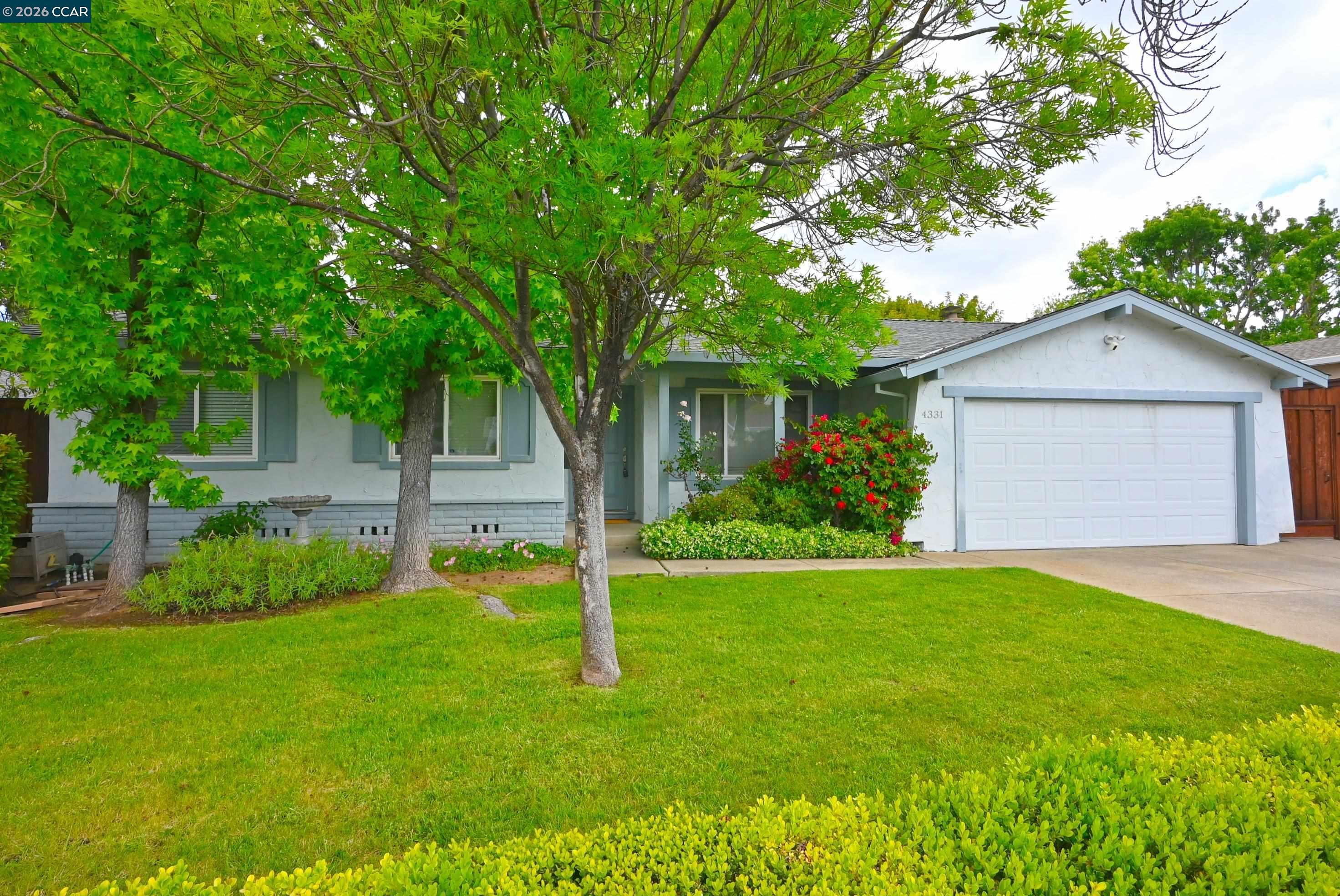 Front Image Thumbnail for CC41132429