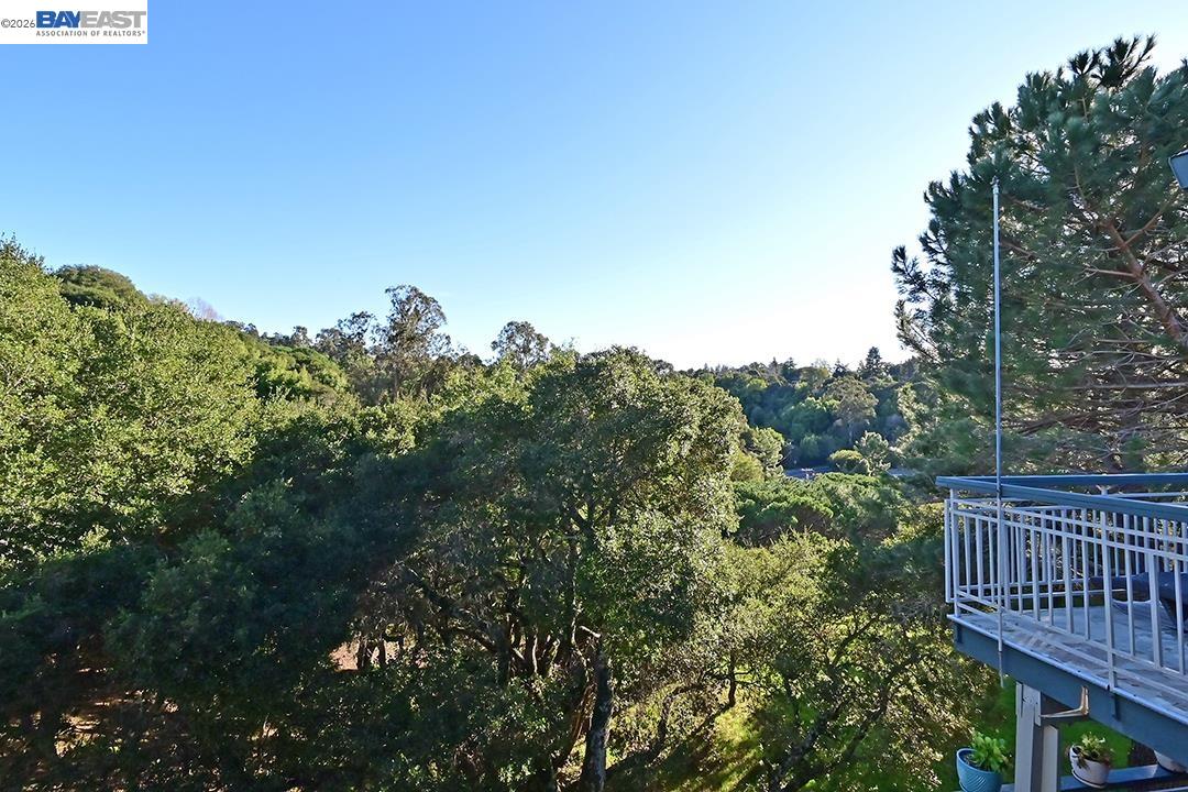 Photo #21: 41132504 Listing: Photo #21