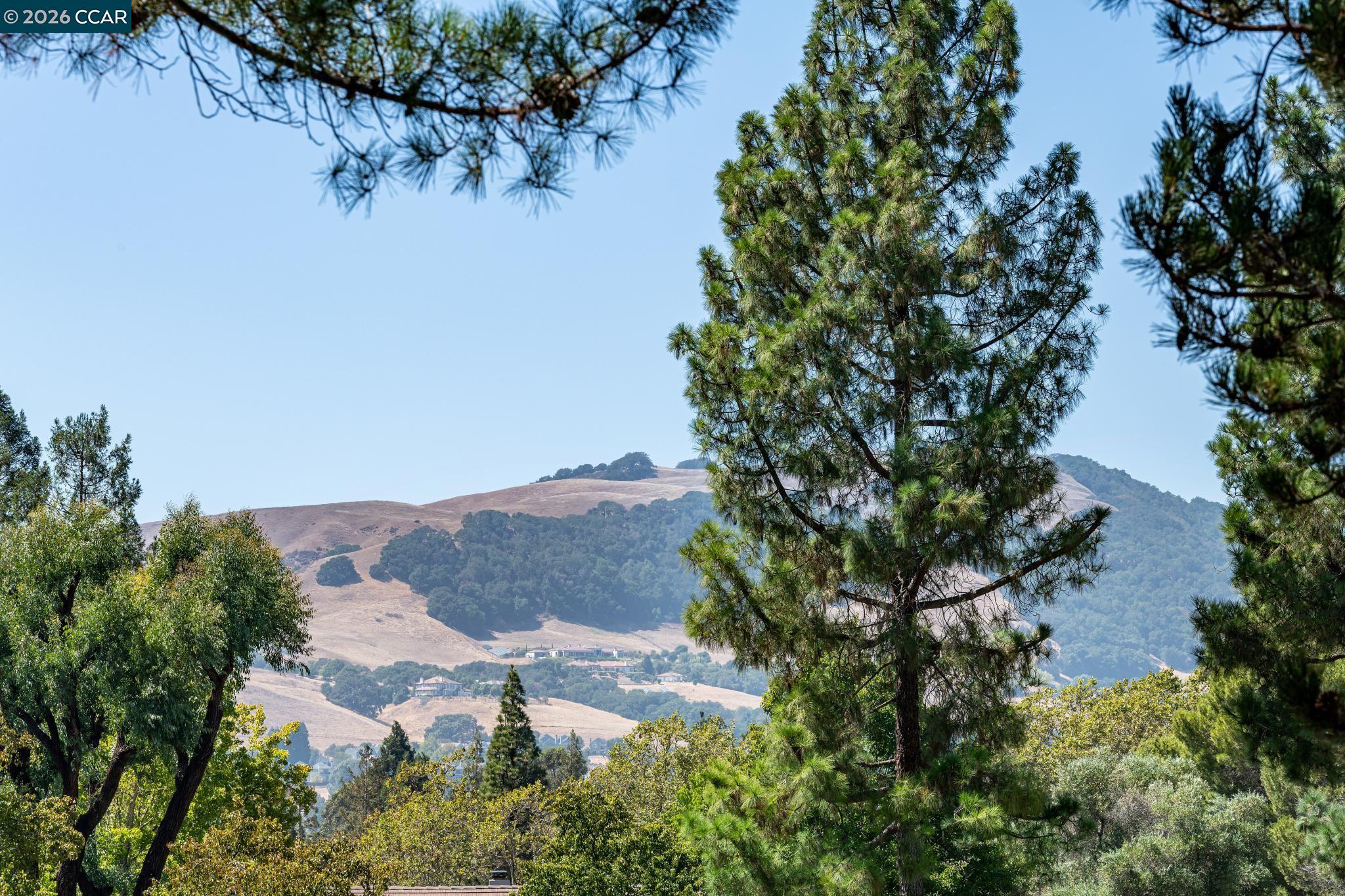 Photo #55: 41132511 Listing: Photo #55