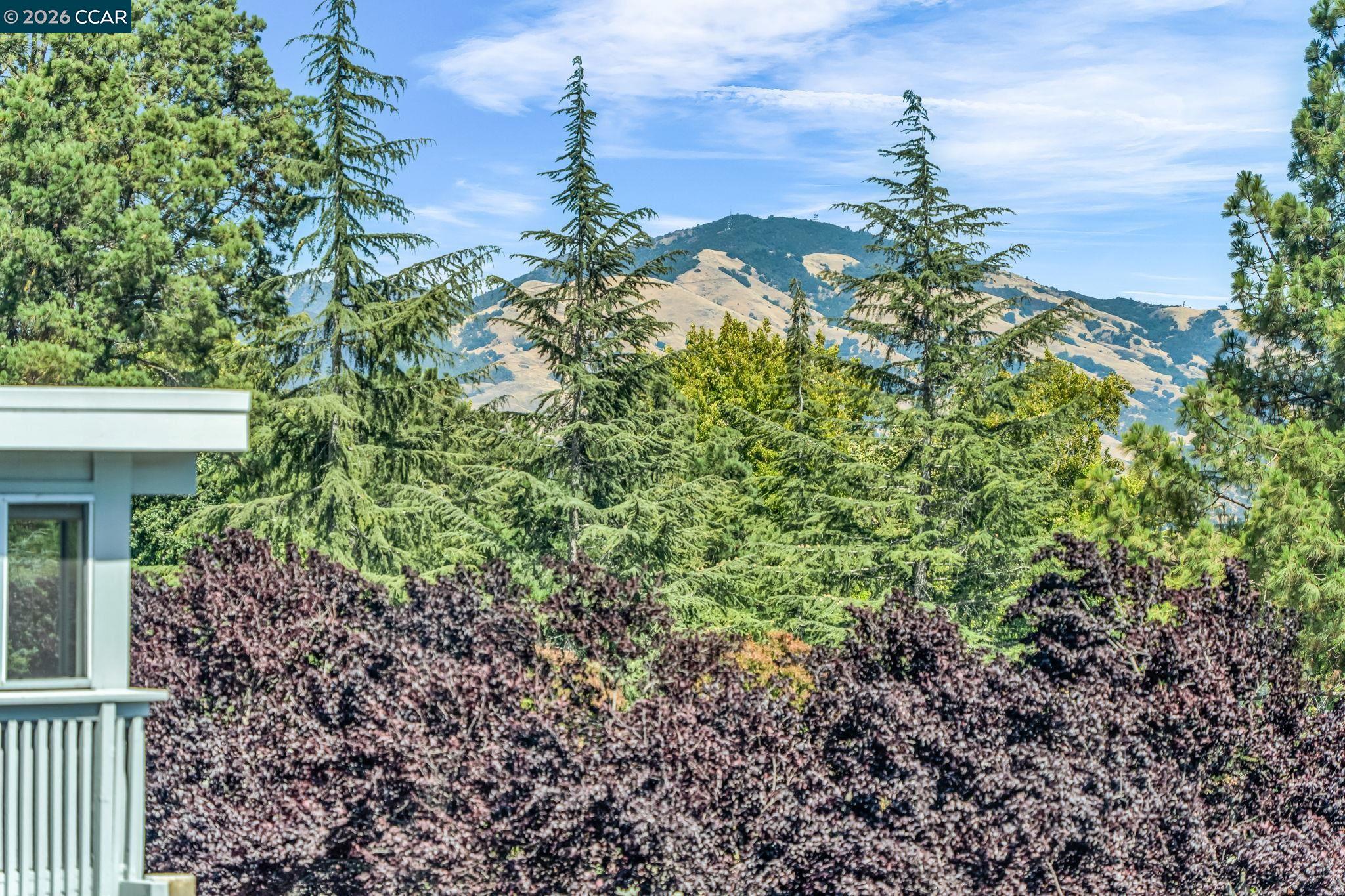 Photo #2: 41132519 Listing: Photo #2