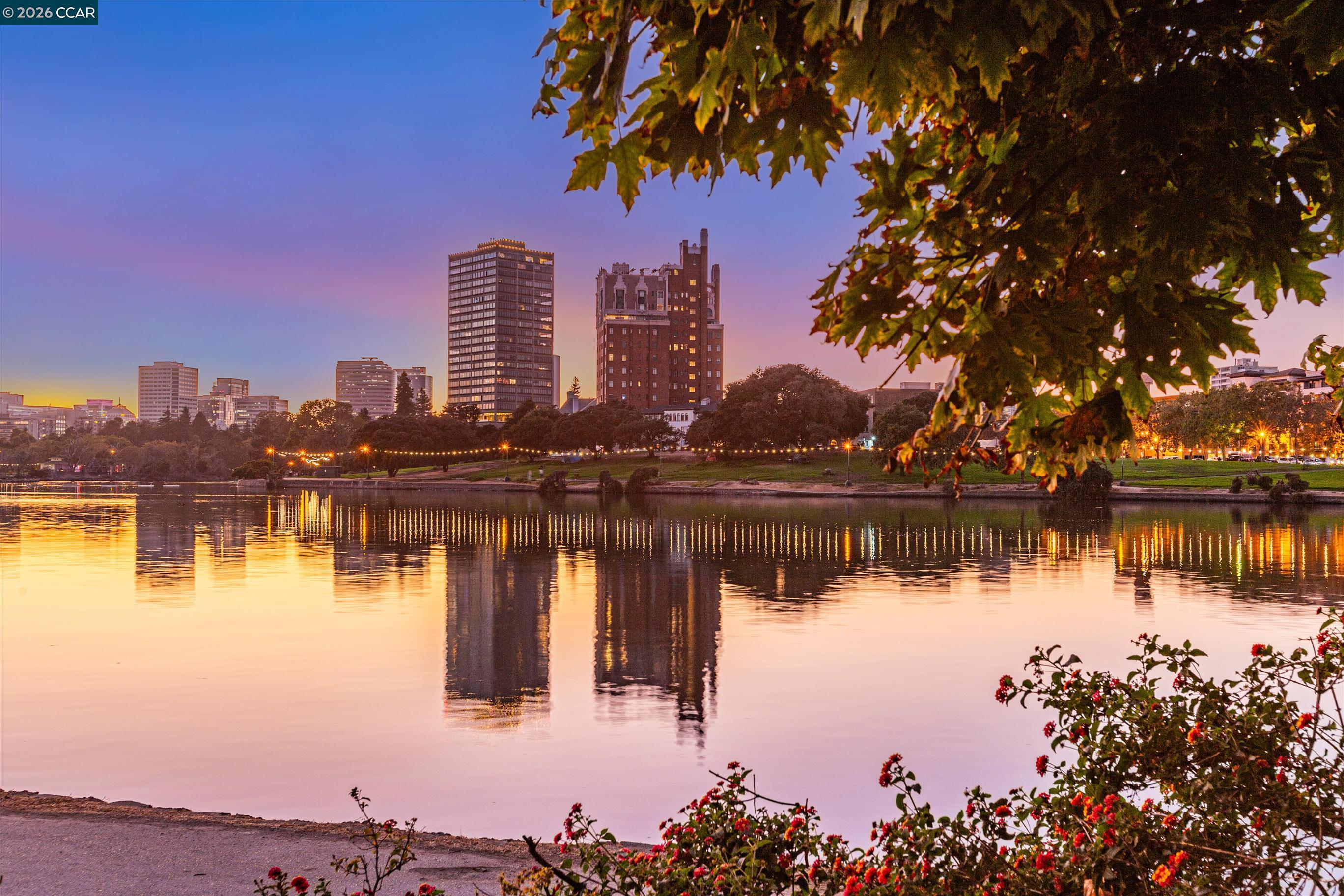 Photo #49: 41132528 Listing: Photo #49