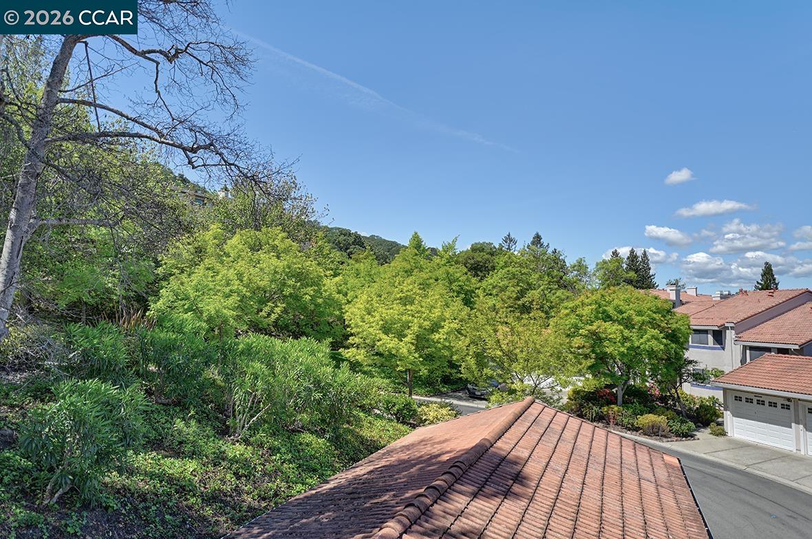 Photo #19: 41132552 Listing: Photo #19