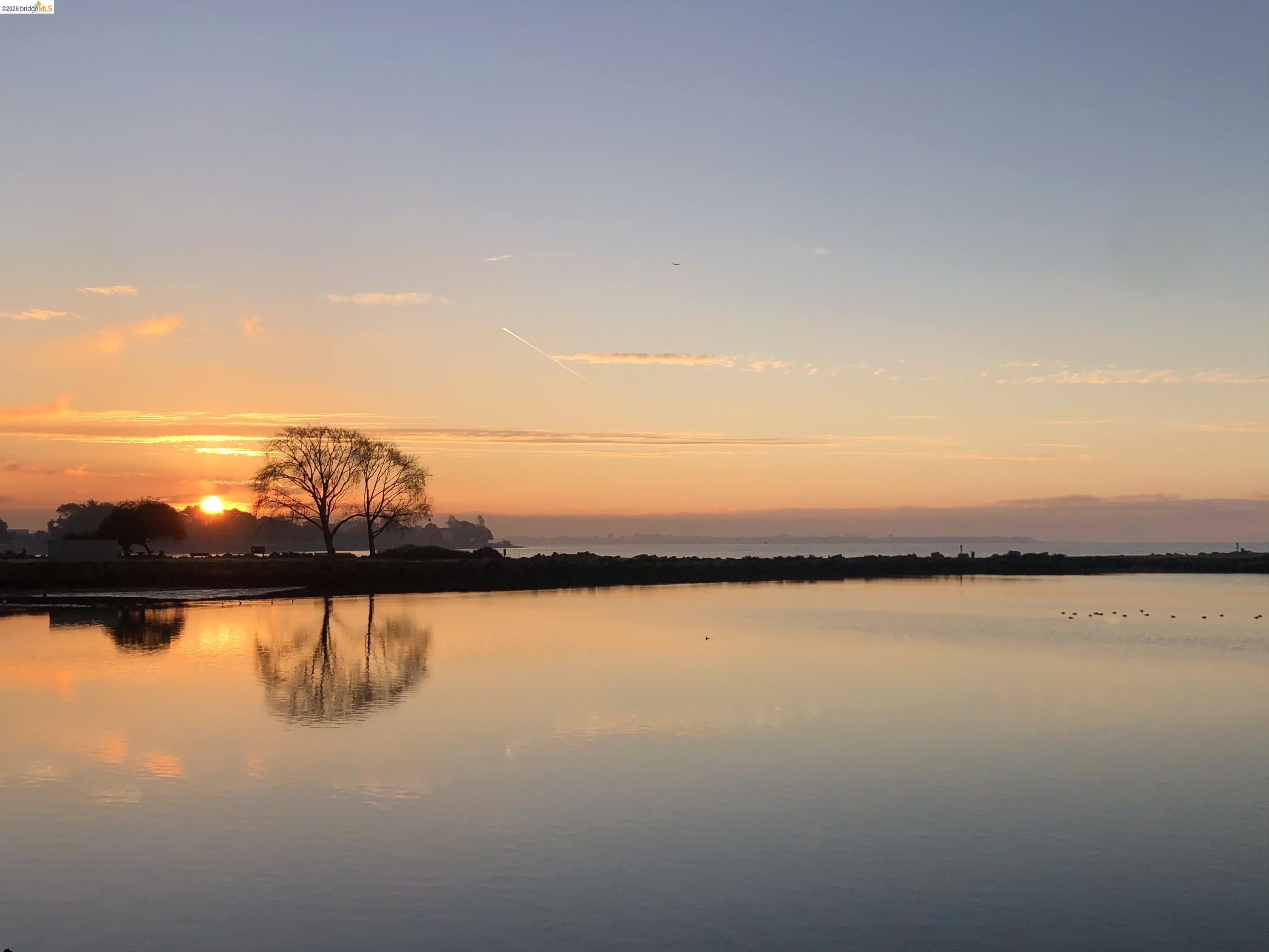 Photo #3: 41132586 Listing: Photo #3