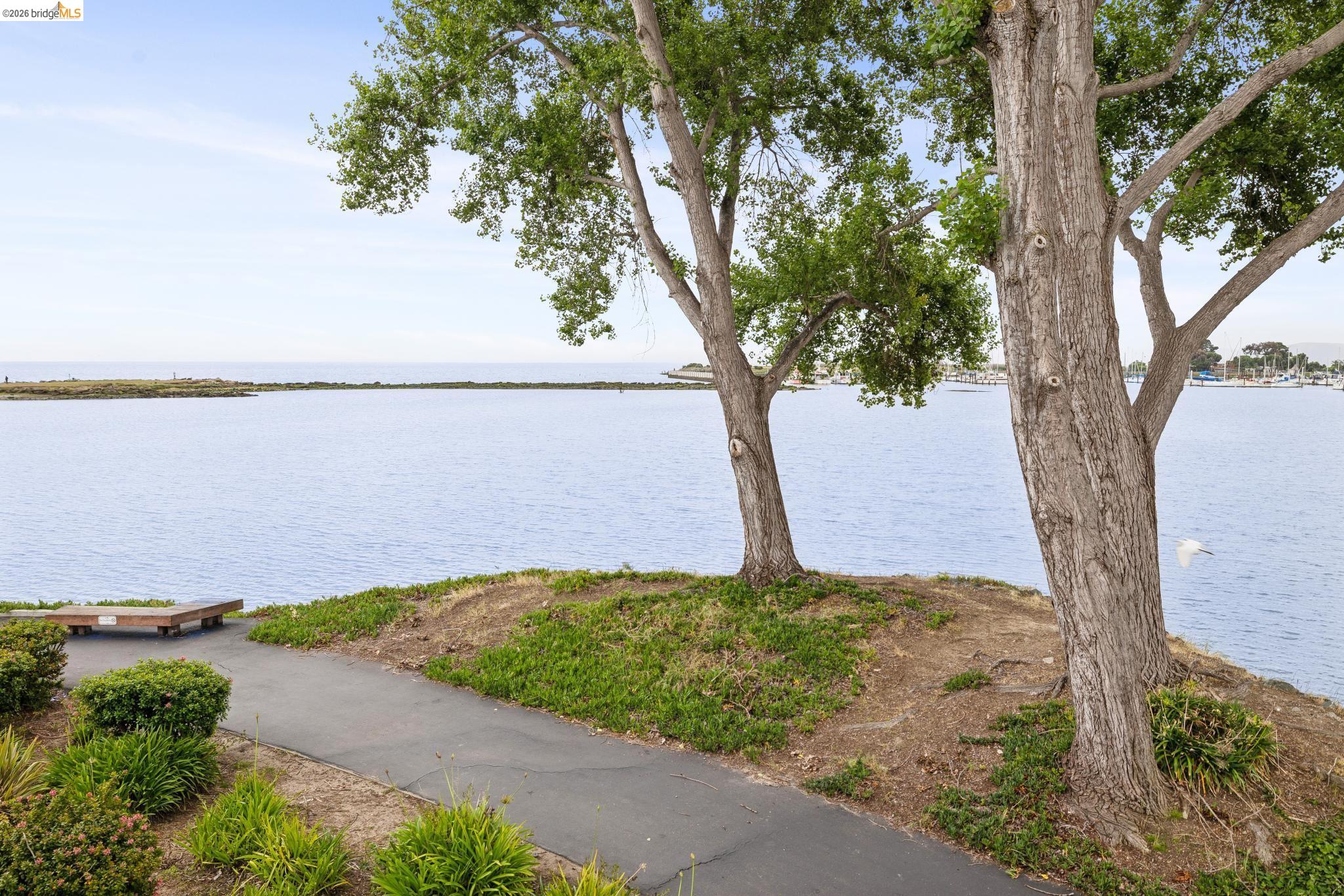 Photo #47: 41132586 Listing: Photo #47