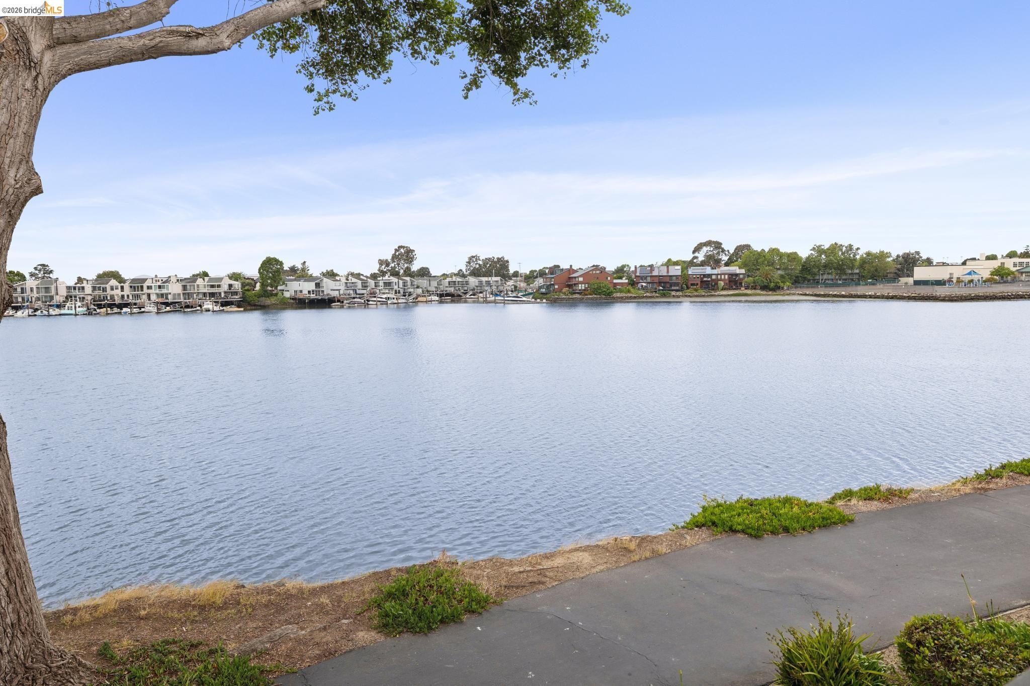 Photo #48: 41132586 Listing: Photo #48