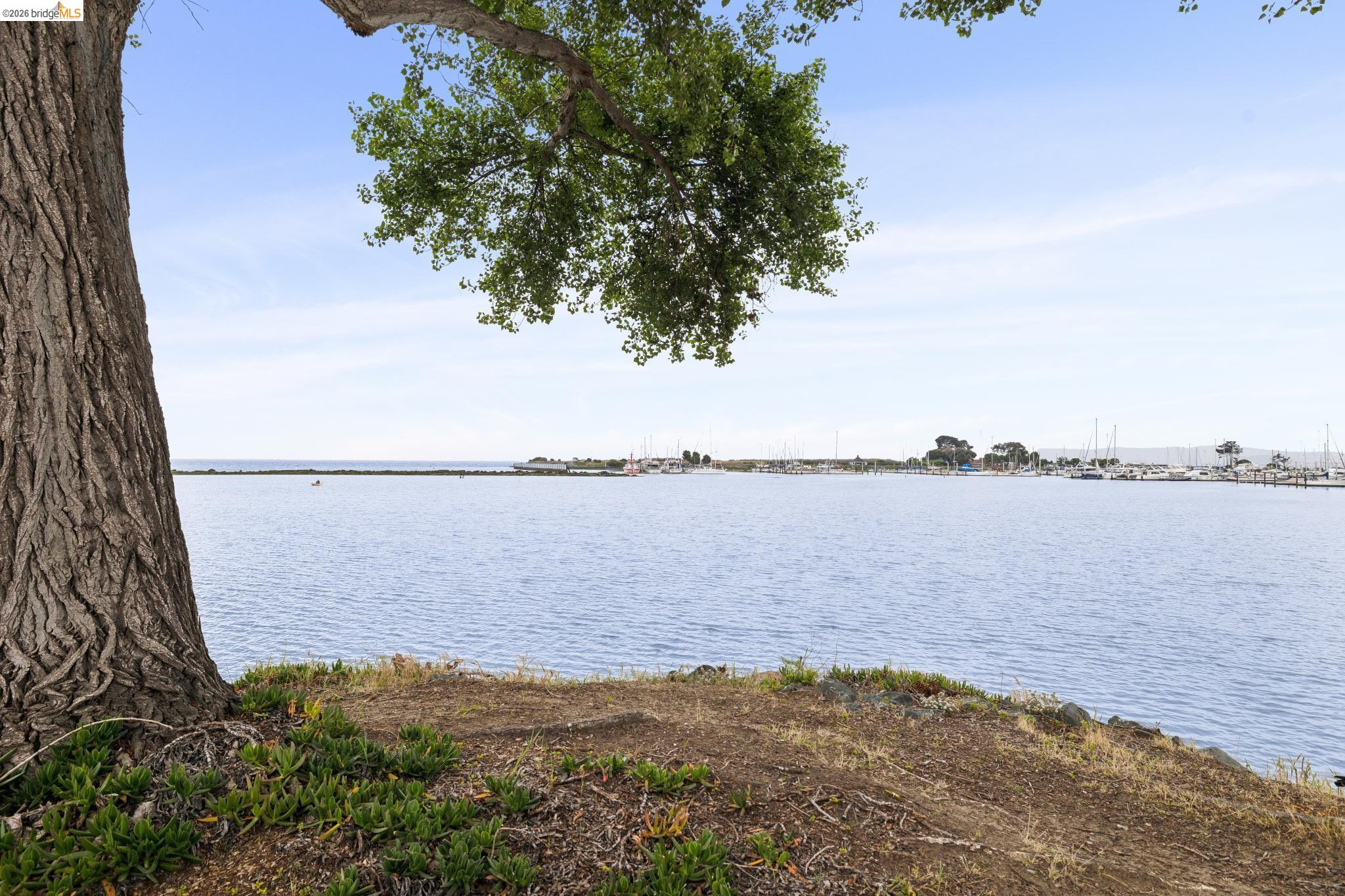 Photo #67: 41132586 Listing: Photo #67