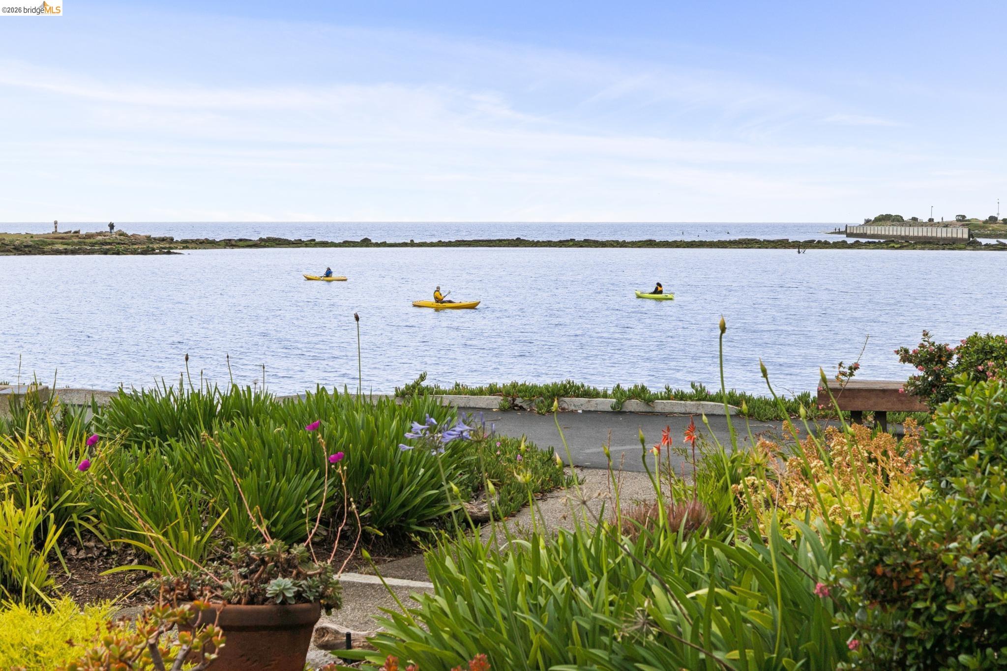 Photo #70: 41132586 Listing: Photo #70