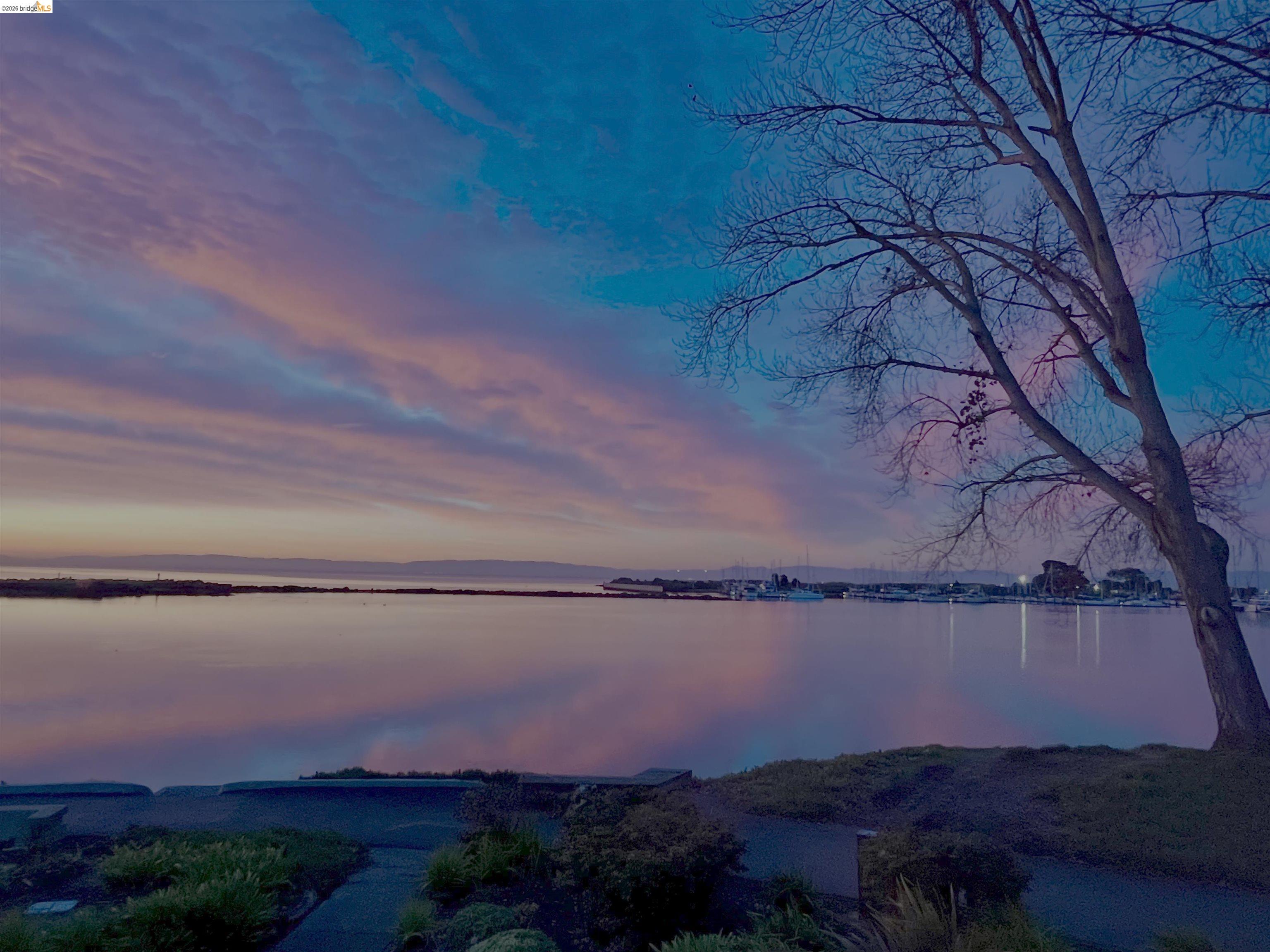 Photo #71: 41132586 Listing: Photo #71