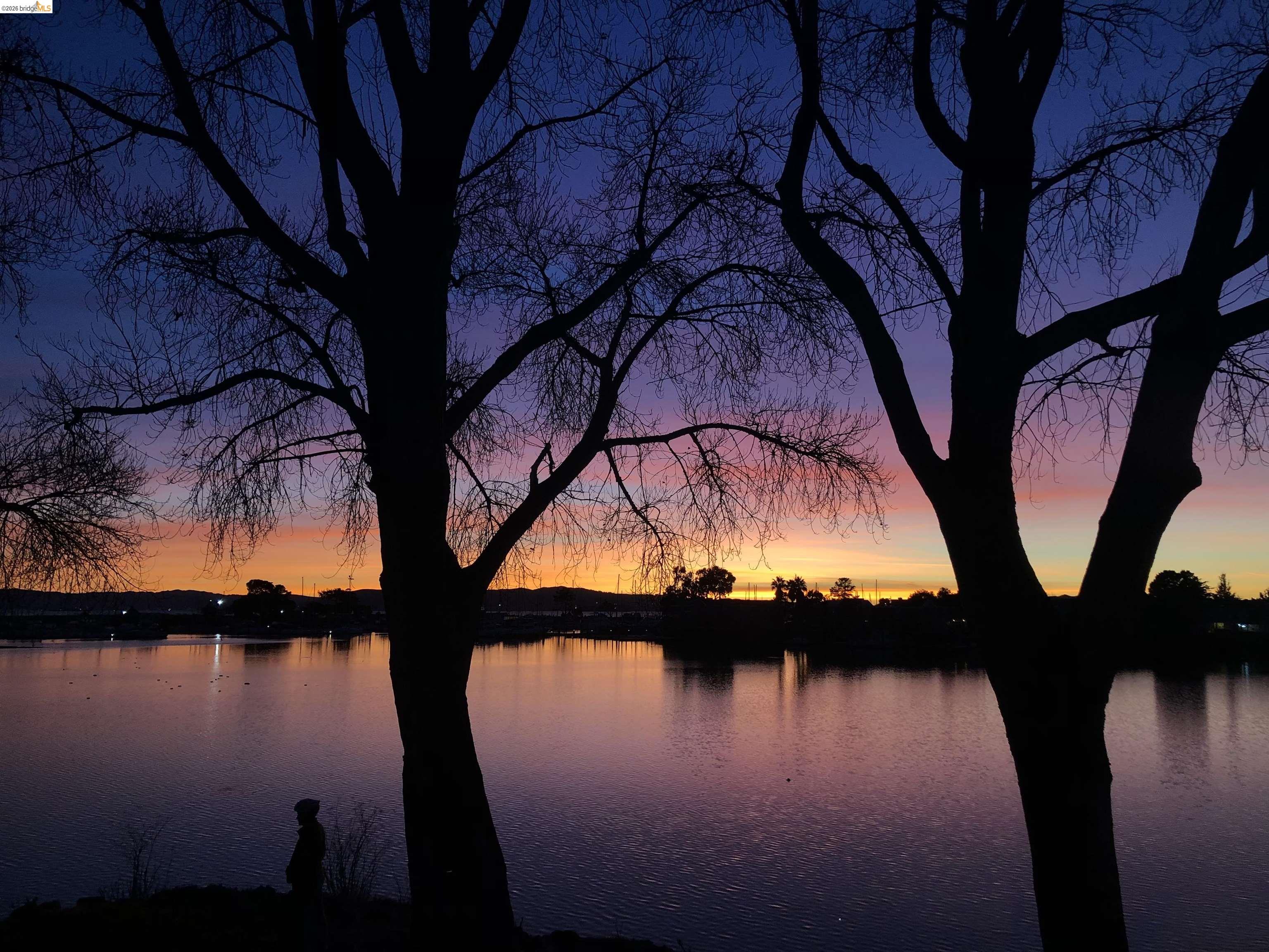 Photo #72: 41132586 Listing: Photo #72