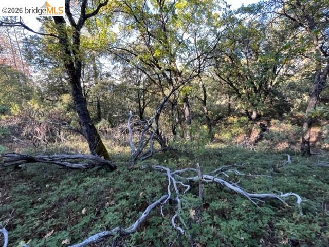 Prcl 3 Italian Bar Rd, Columbia, CA, 95346