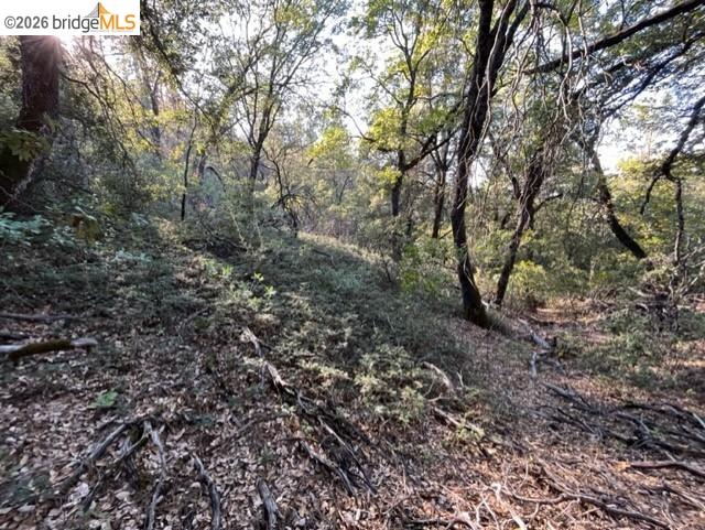 Prcl 3 Italian Bar Rd, Columbia, CA, 95346