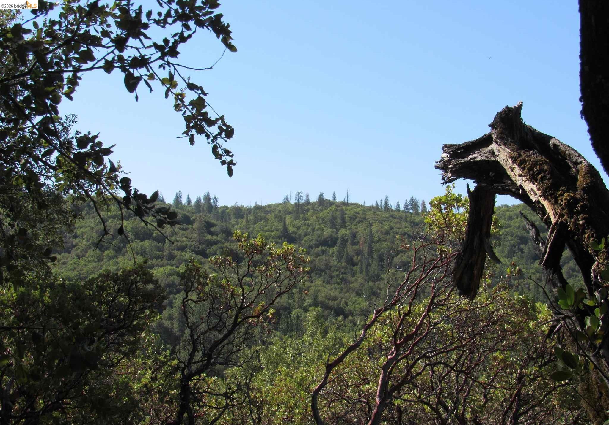 Prcl 3 Italian Bar Rd, Columbia, CA, 95346