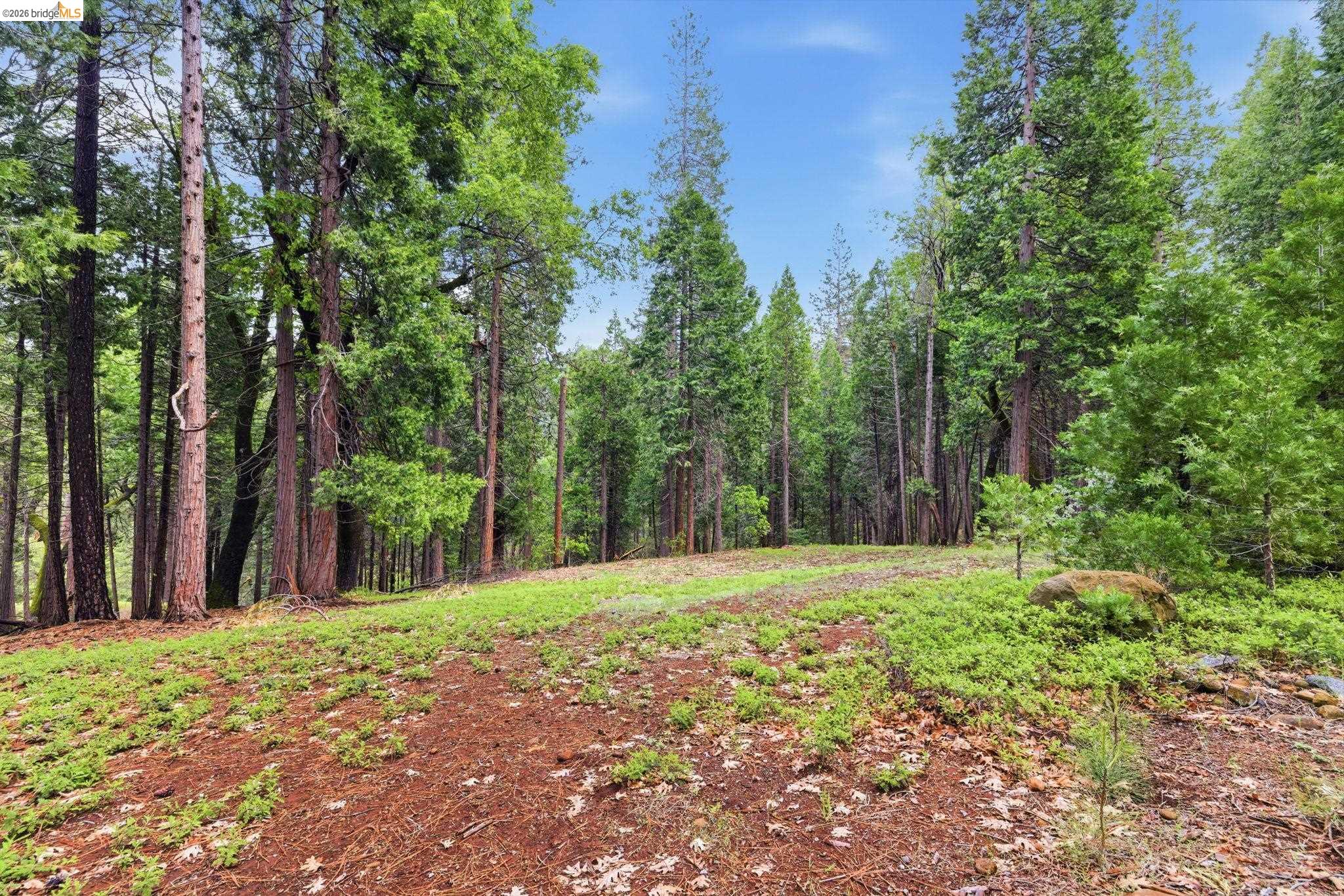 19979 Mountain Misery, Twain Harte, CA, 95383
