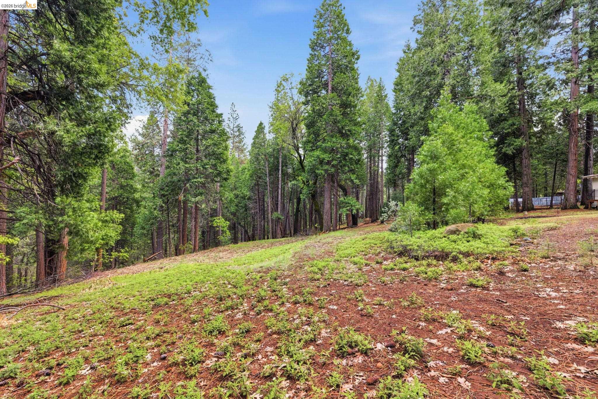19979 Mountain Misery, Twain Harte, CA, 95383