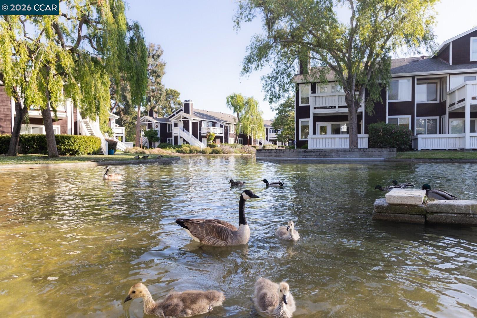 Photo #20: 41132669 Listing: Photo #20