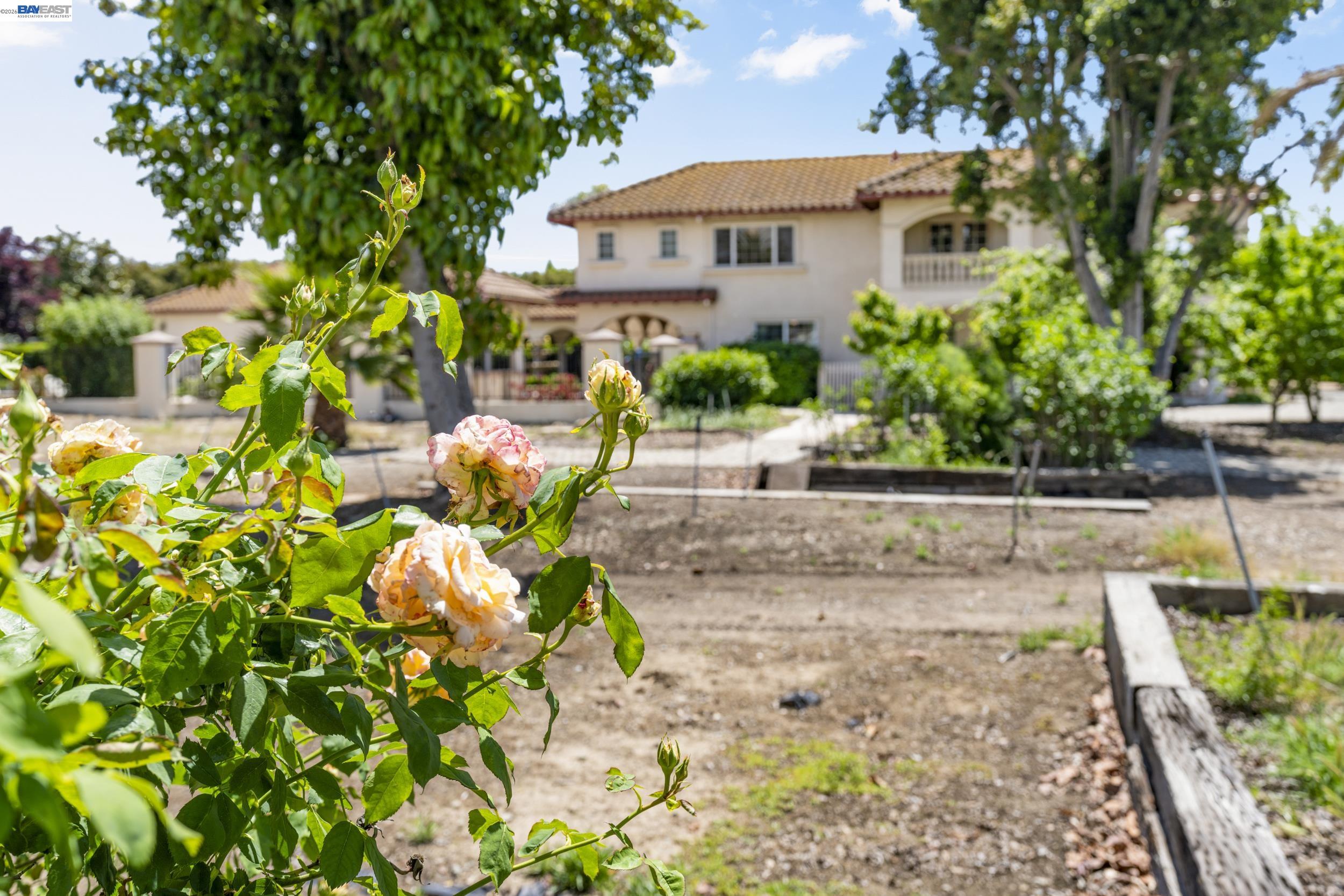 4224 Greenville Rd, Livermore CA 94550 — photo 55