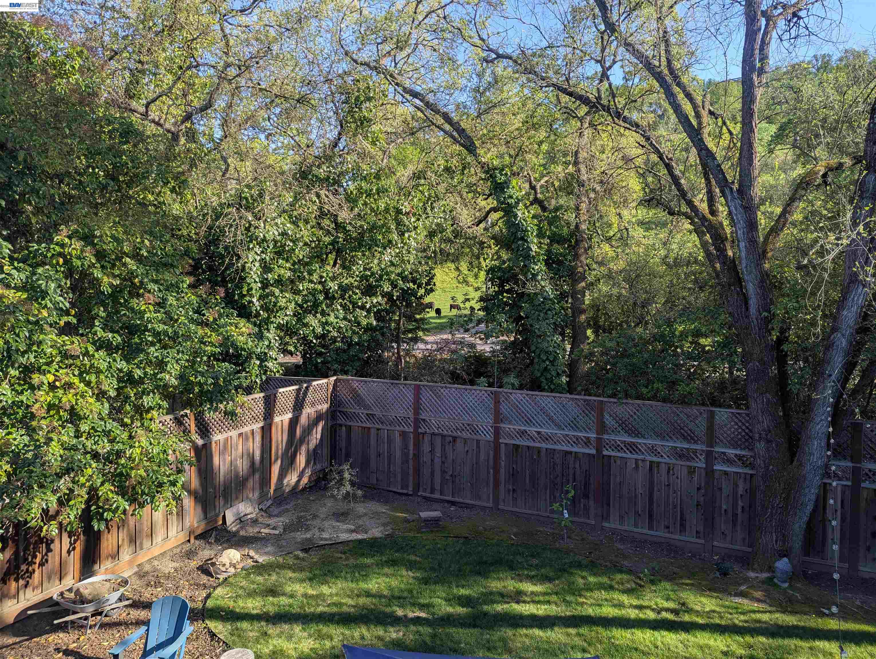 186 Belgian Drive, Danville CA 94526 — photo 34