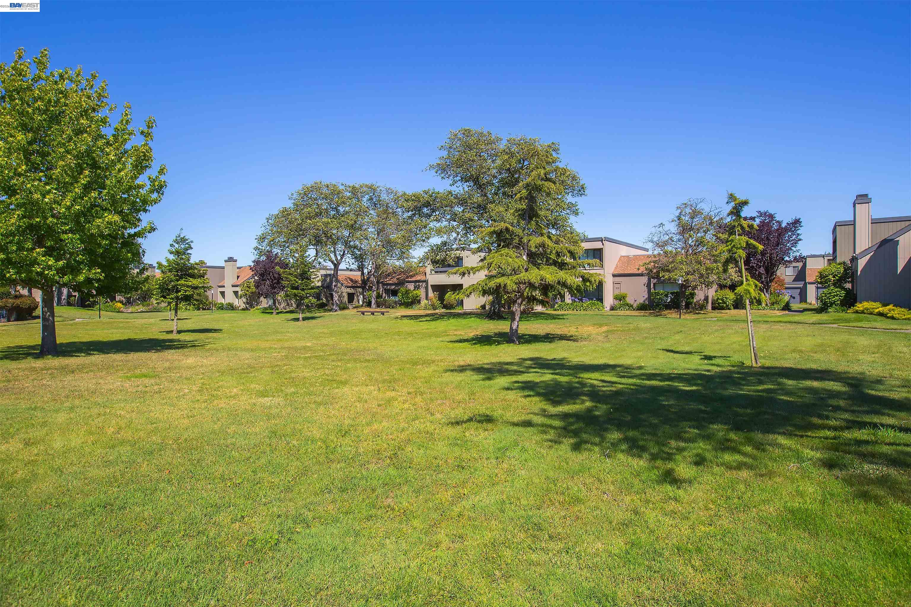 Photo #33: 41132814 Listing: Photo #33
