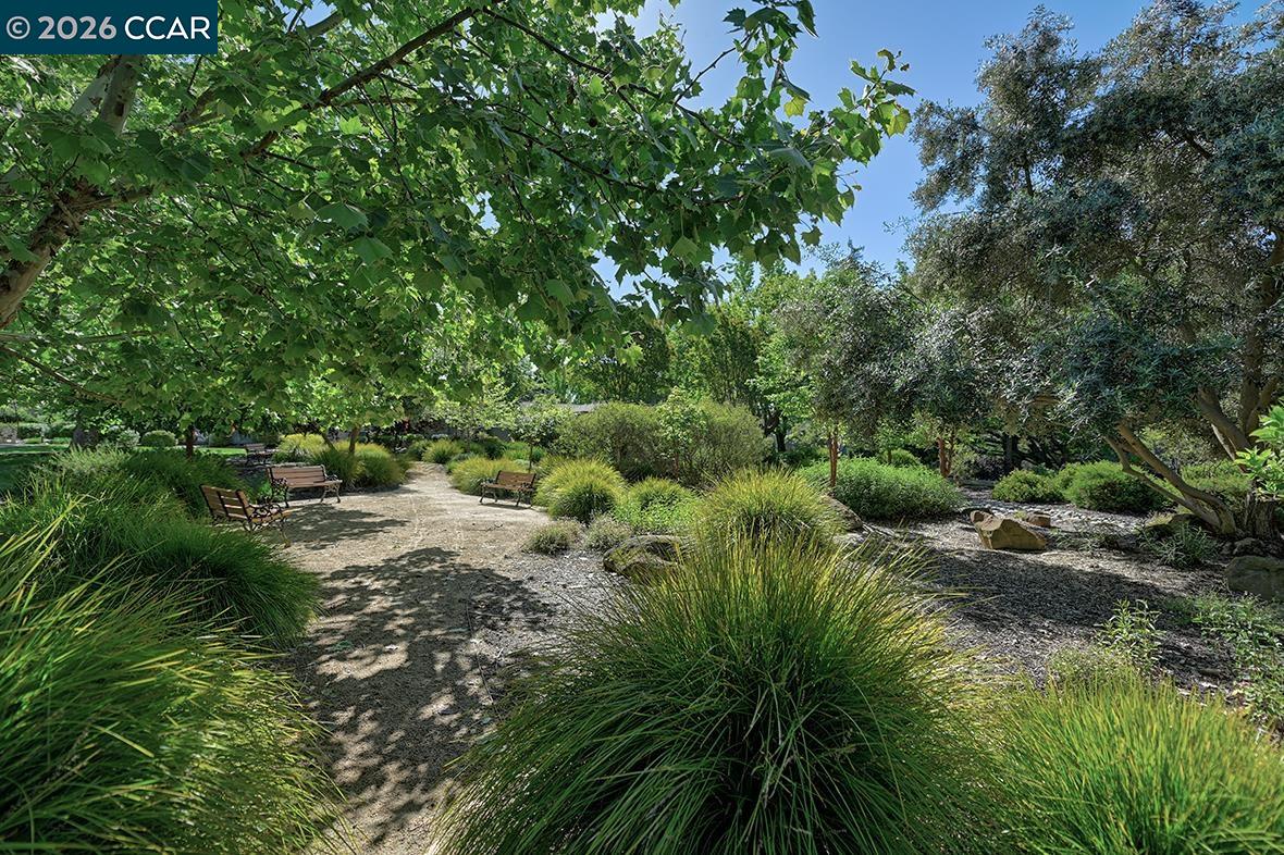 Photo #2: 41132837 Listing: Photo #2