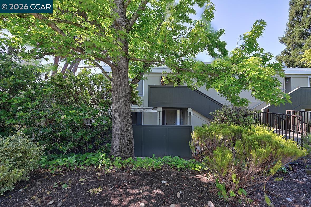 Photo #3: 41132837 Listing: Photo #3