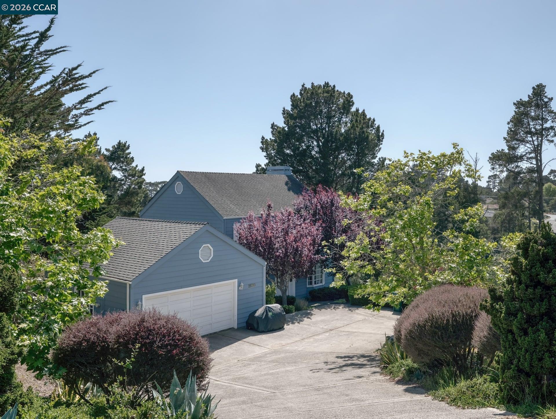 Front Image Thumbnail for CC41132849