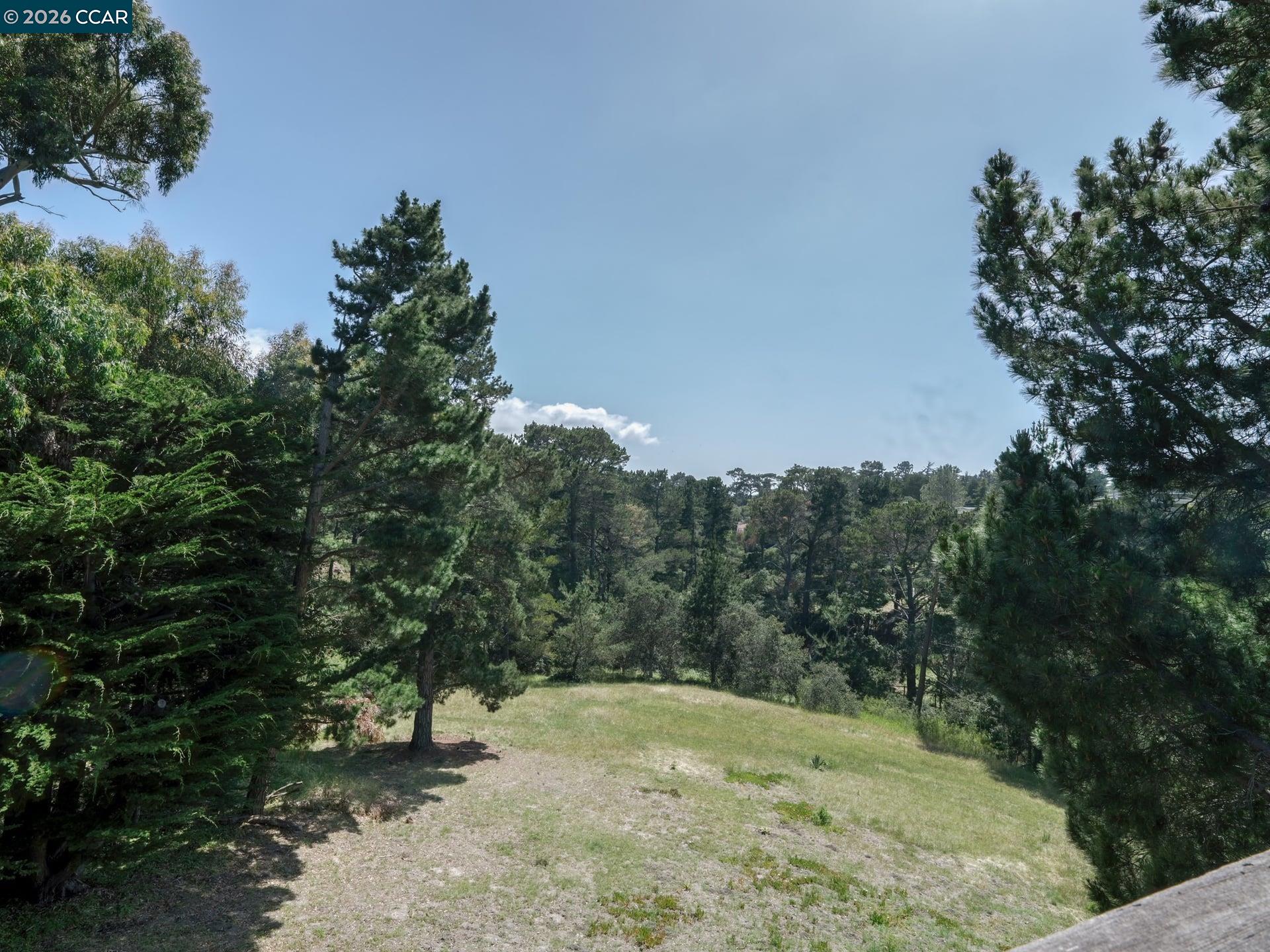 25580 Chiquito Pl, Carmel CA 93923 — photo 35