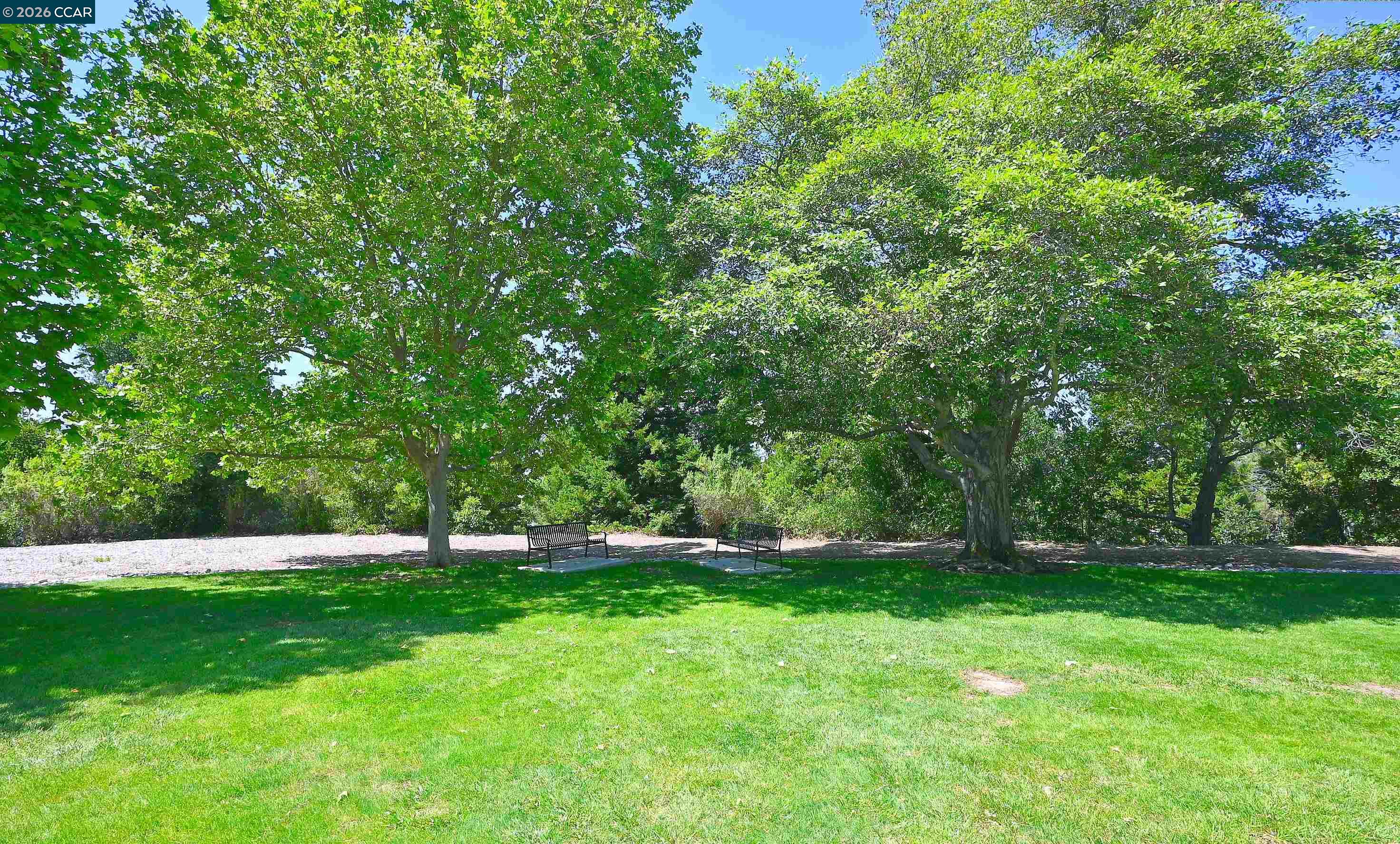 Photo #75: 41132853 Listing: Photo #75