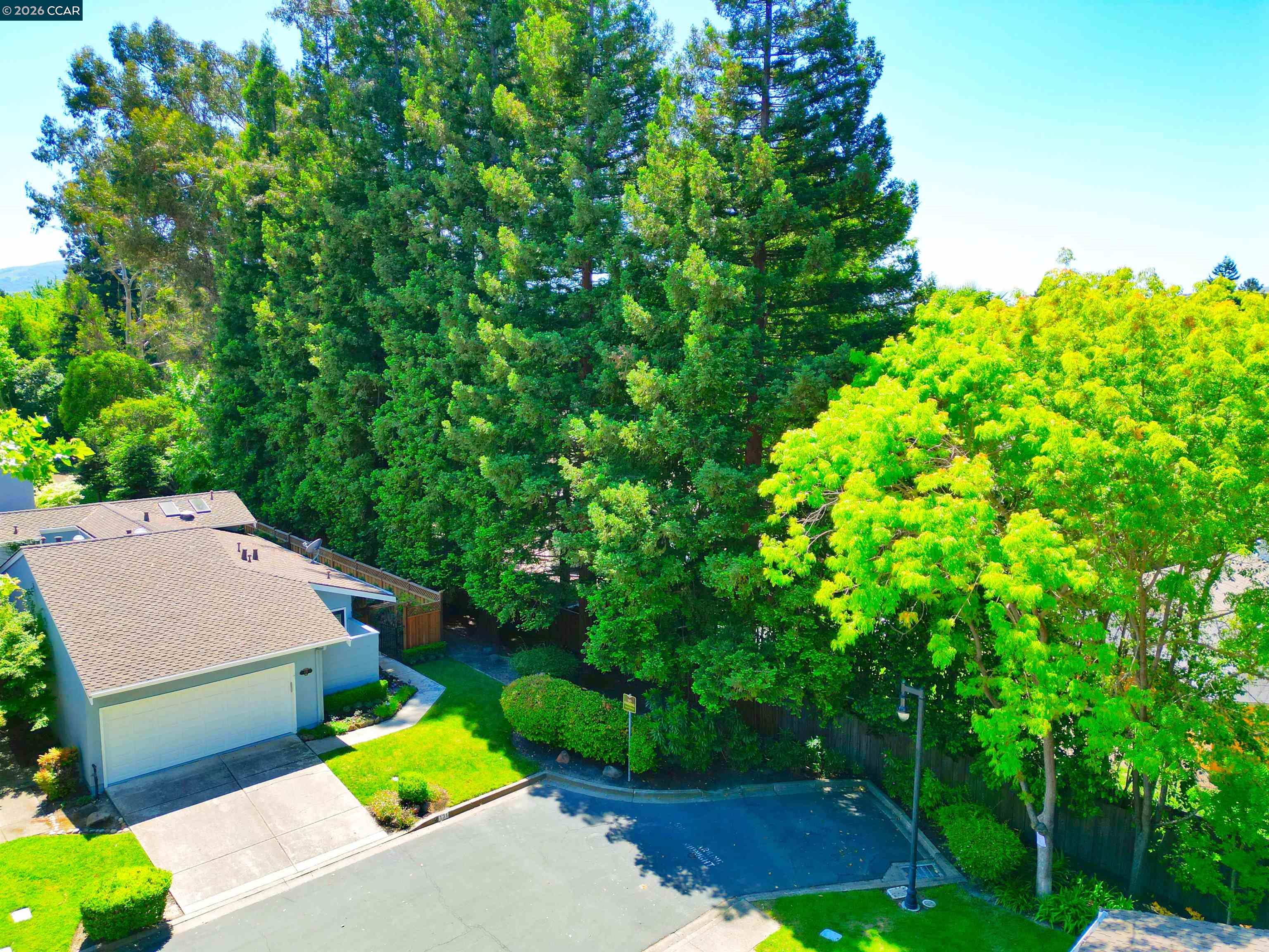 Photo #77: 41132853 Listing: Photo #77