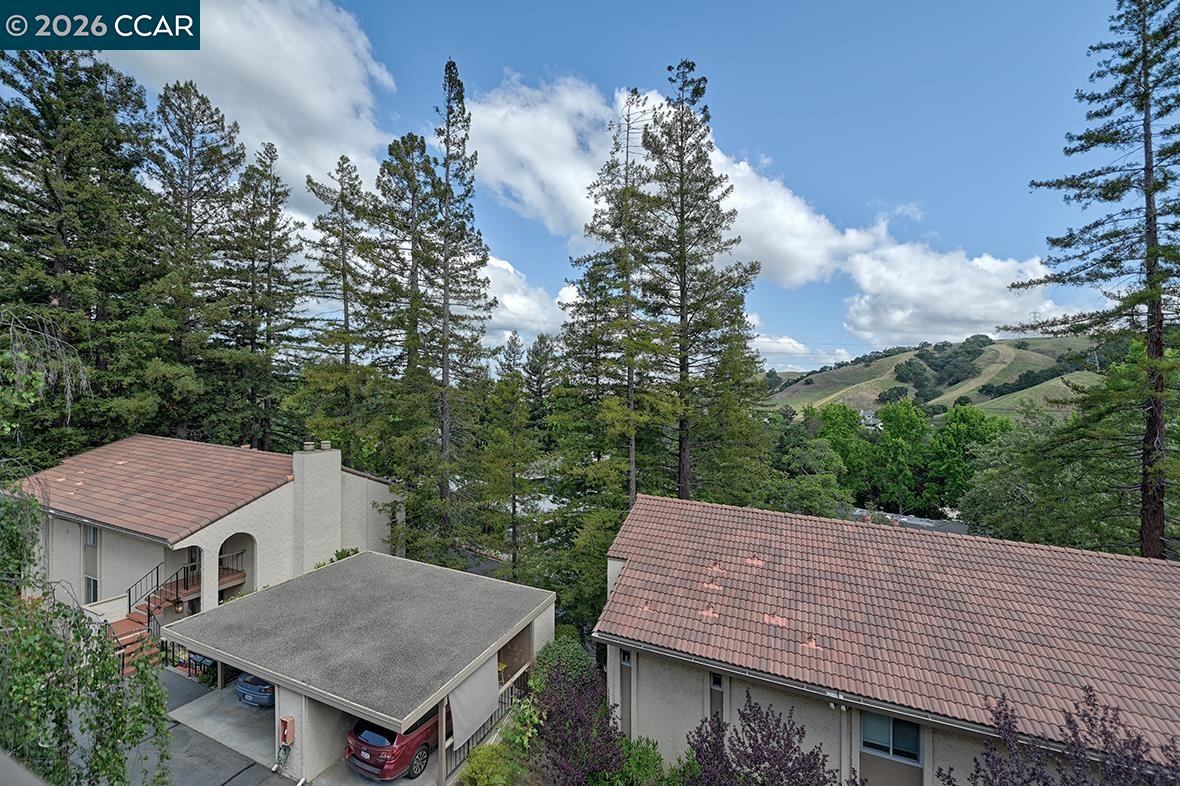 Photo #19: 41132862 Listing: Photo #19