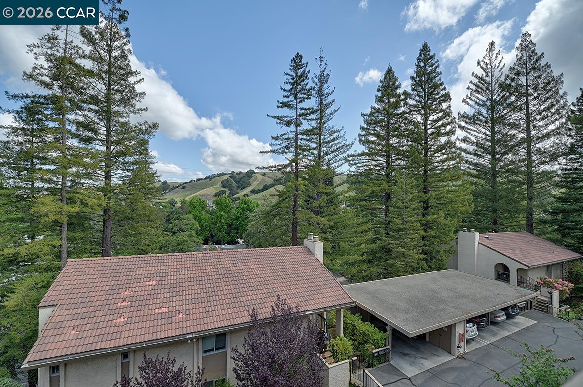 Photo #20: 41132862 Listing: Photo #20