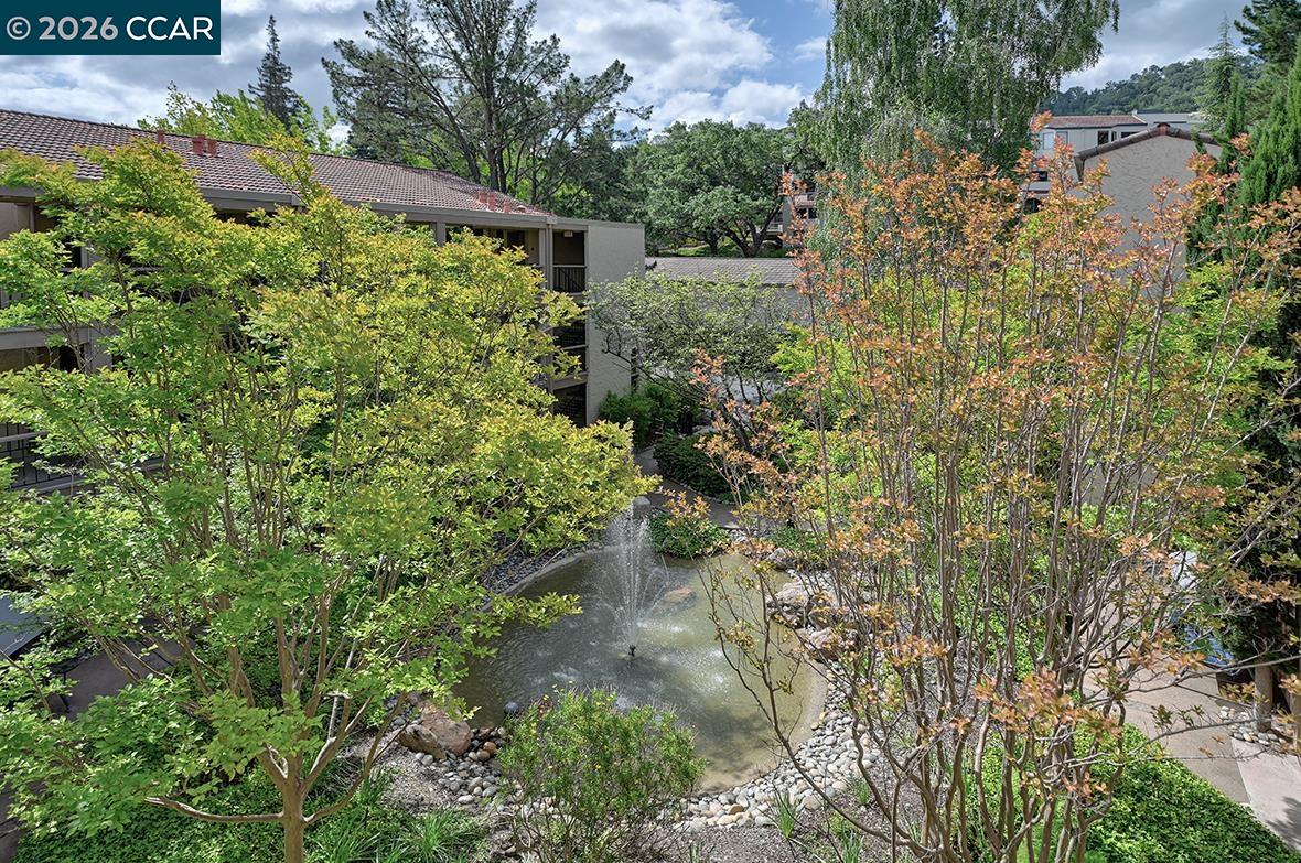 Photo #44: 41132862 Listing: Photo #44