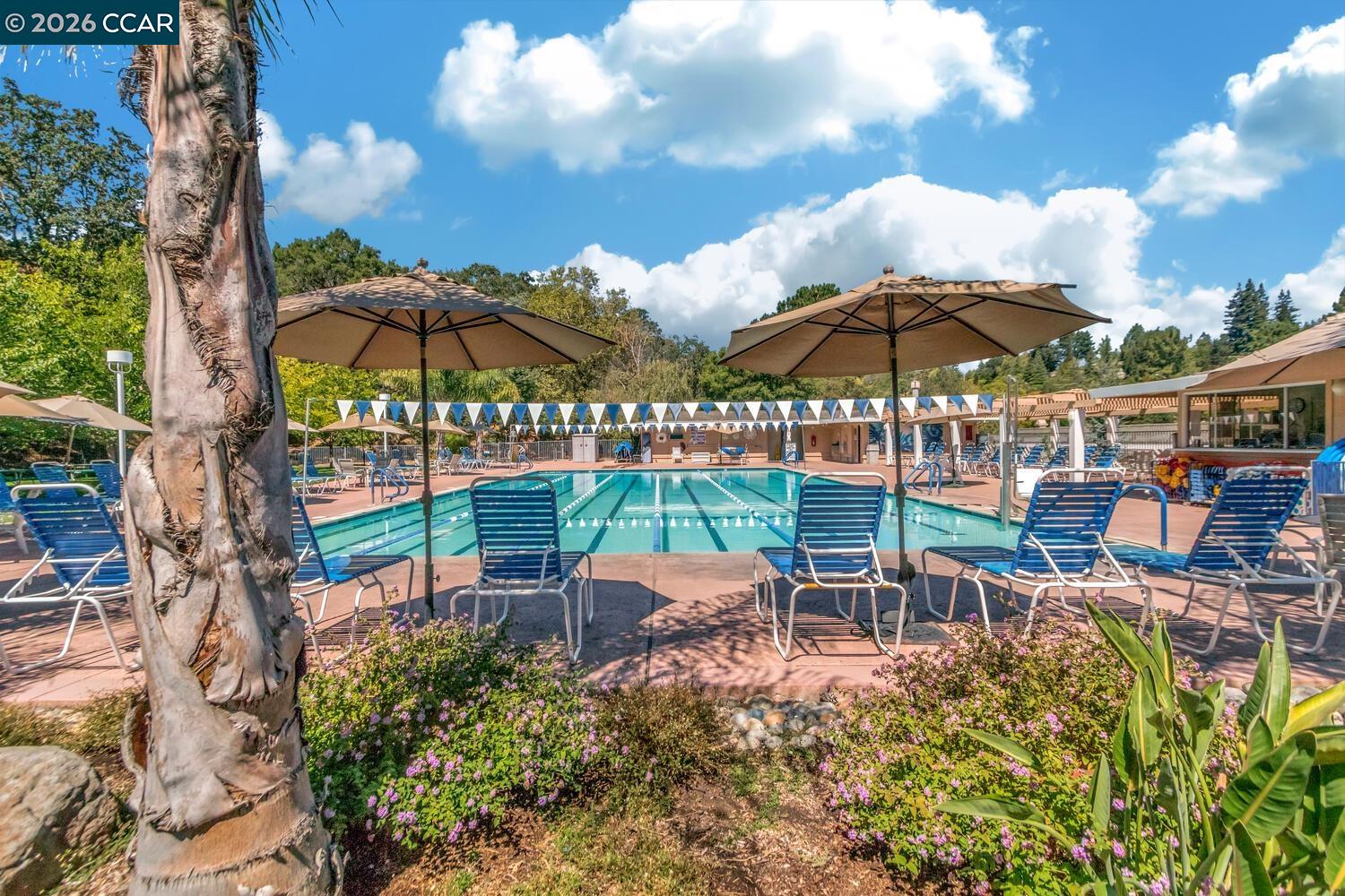 Photo #33: 41132872 Listing: Photo #33