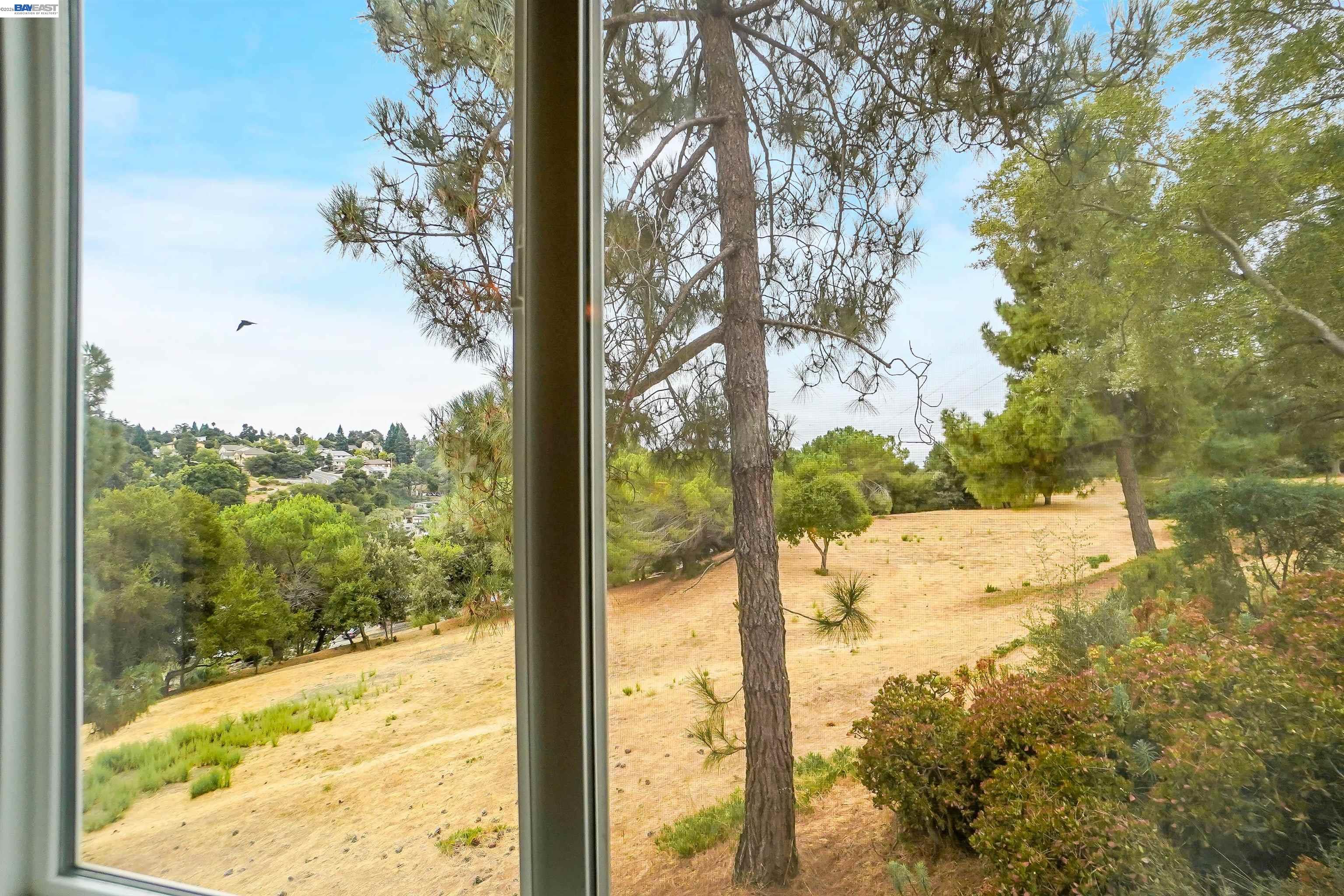 Photo #24: 41132884 Listing: Photo #24