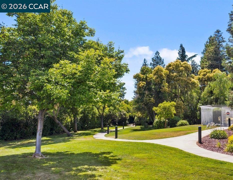 Photo #44: 41132899 Listing: Photo #44