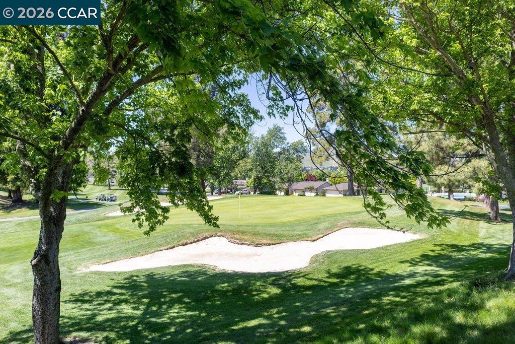 Photo #5: 41132910 Listing: Photo #5