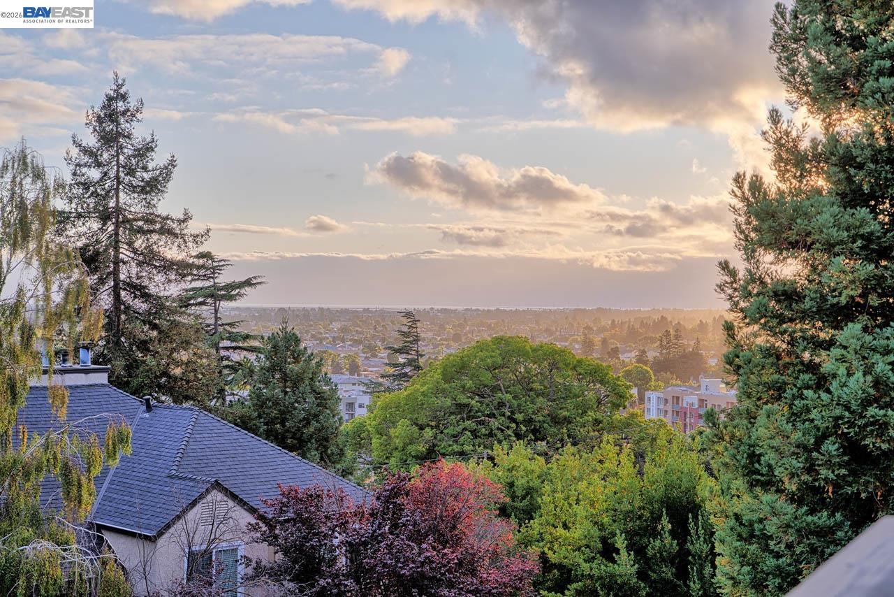 Photo #4: 41132927 Listing: Photo #4