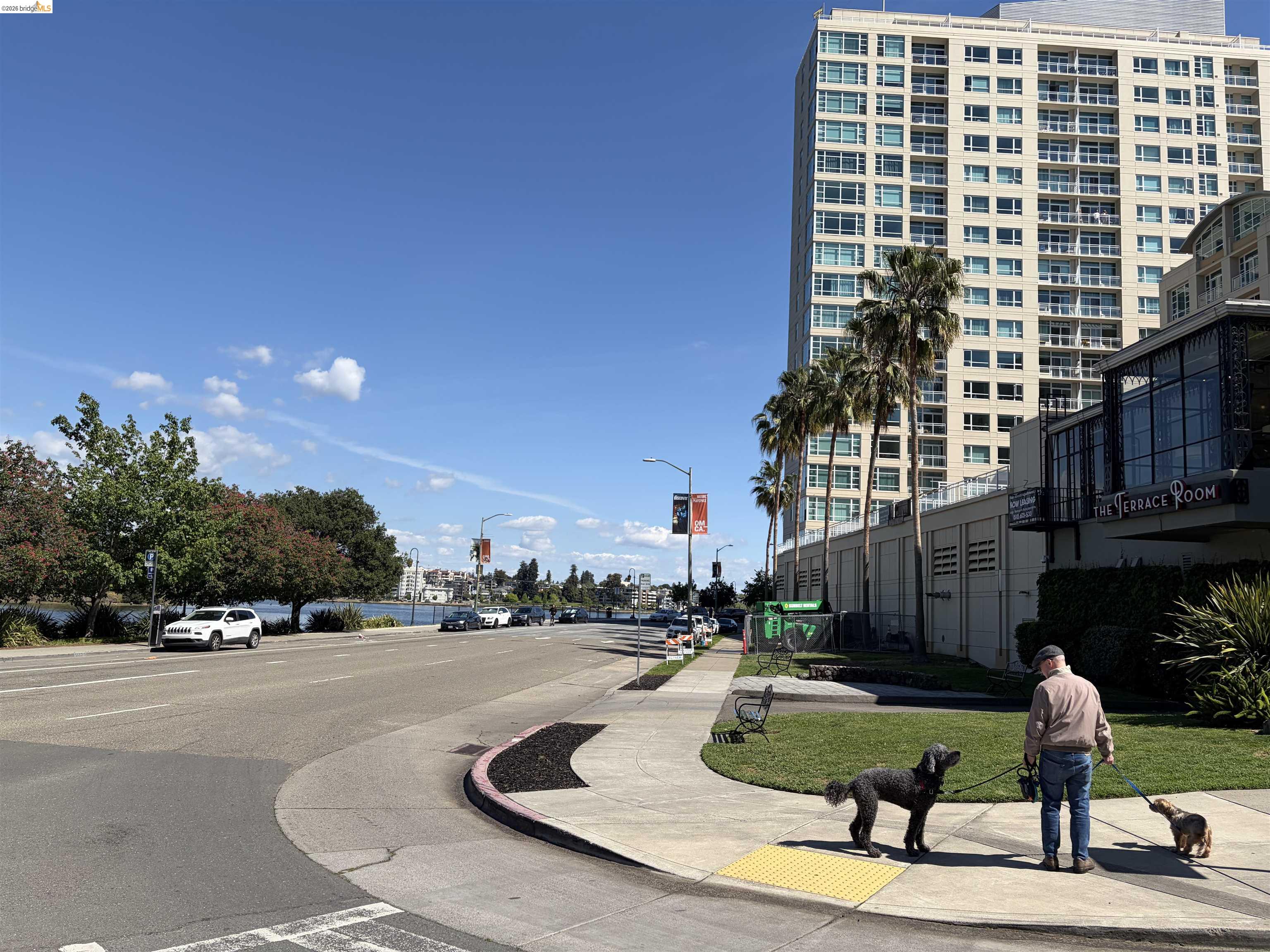 Photo #43: 41132930 Listing: Photo #43