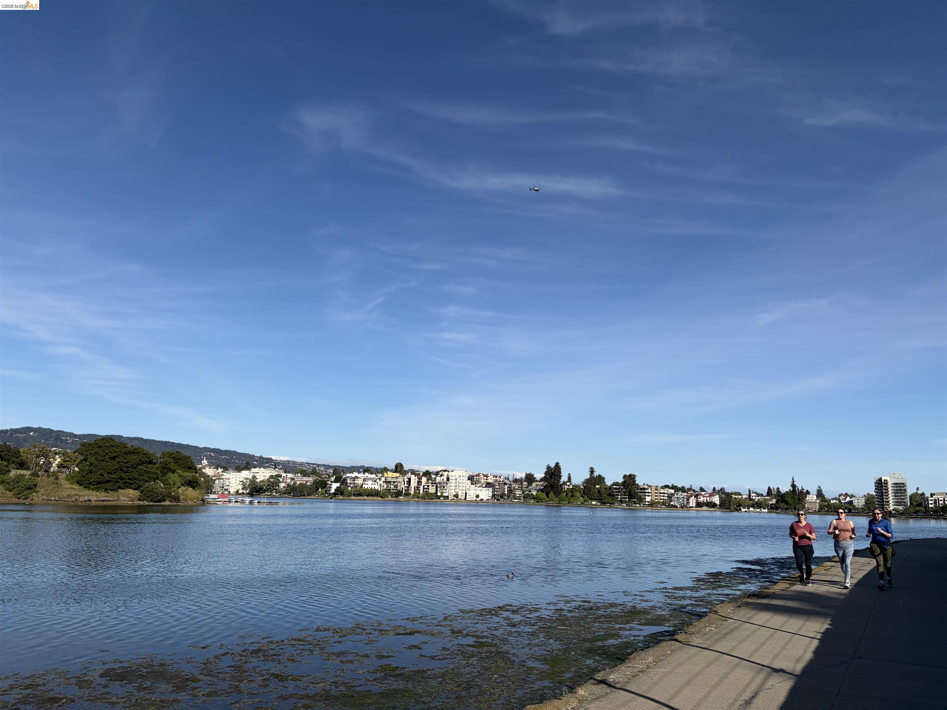 Photo #44: 41132930 Listing: Photo #44