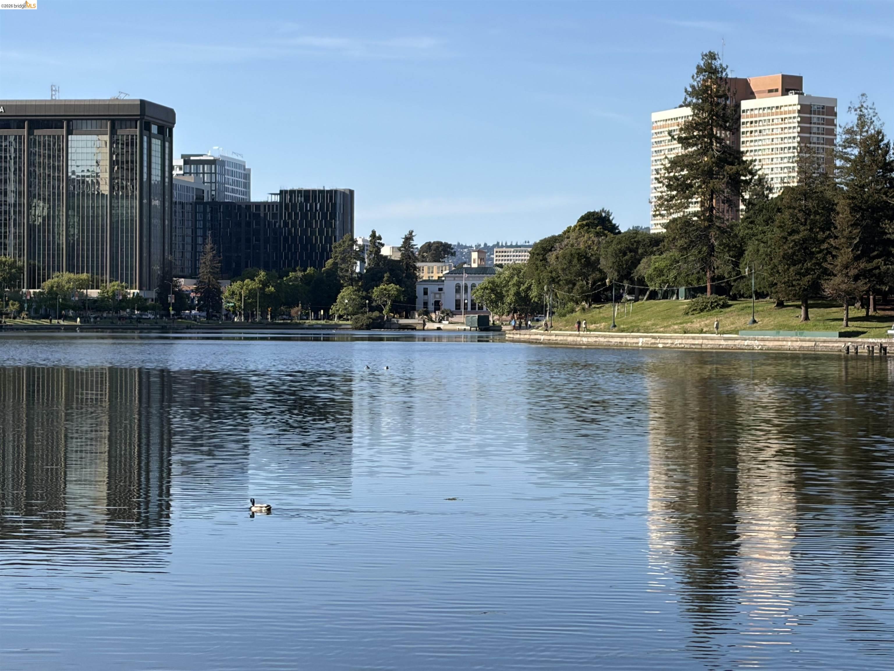 Photo #47: 41132930 Listing: Photo #47