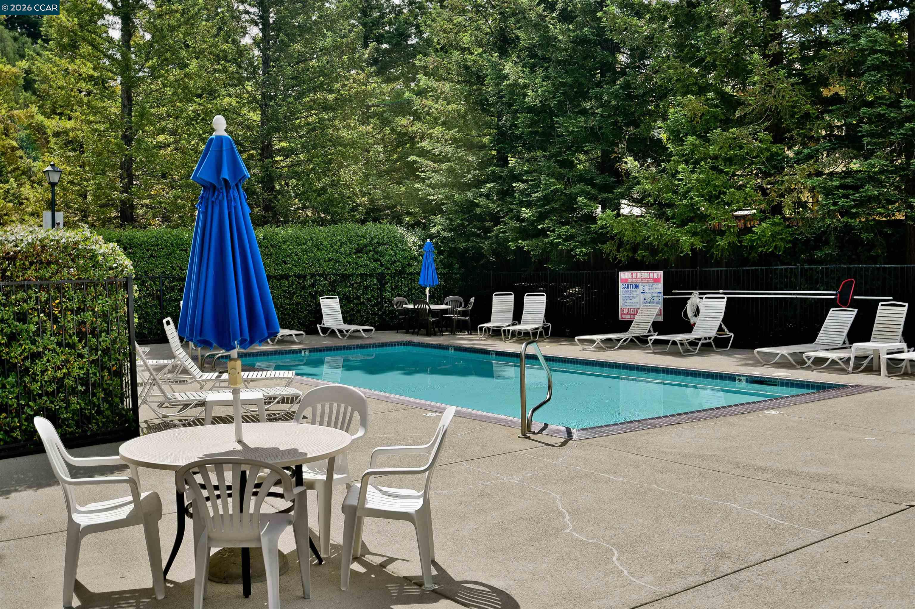 Photo #35: 41132946 Listing: Photo #35