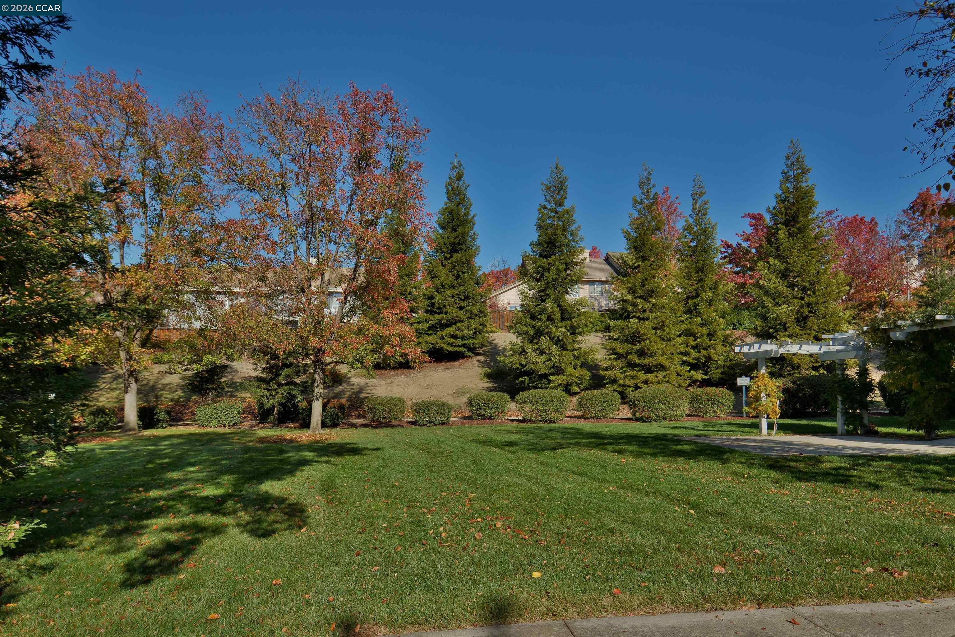 Photo #36: 41132946 Listing: Photo #36