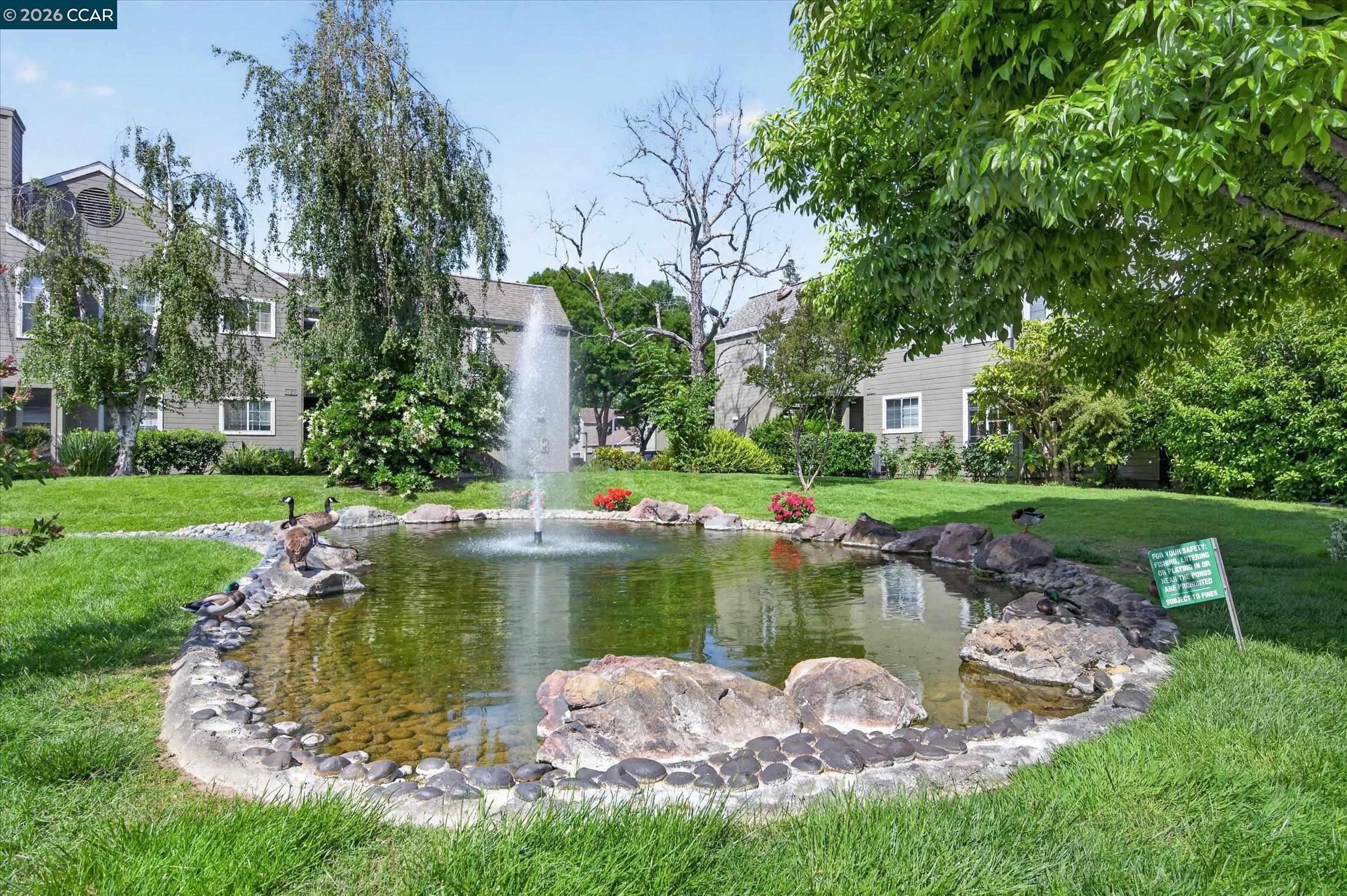 Photo #45: 41132951 Listing: Photo #45