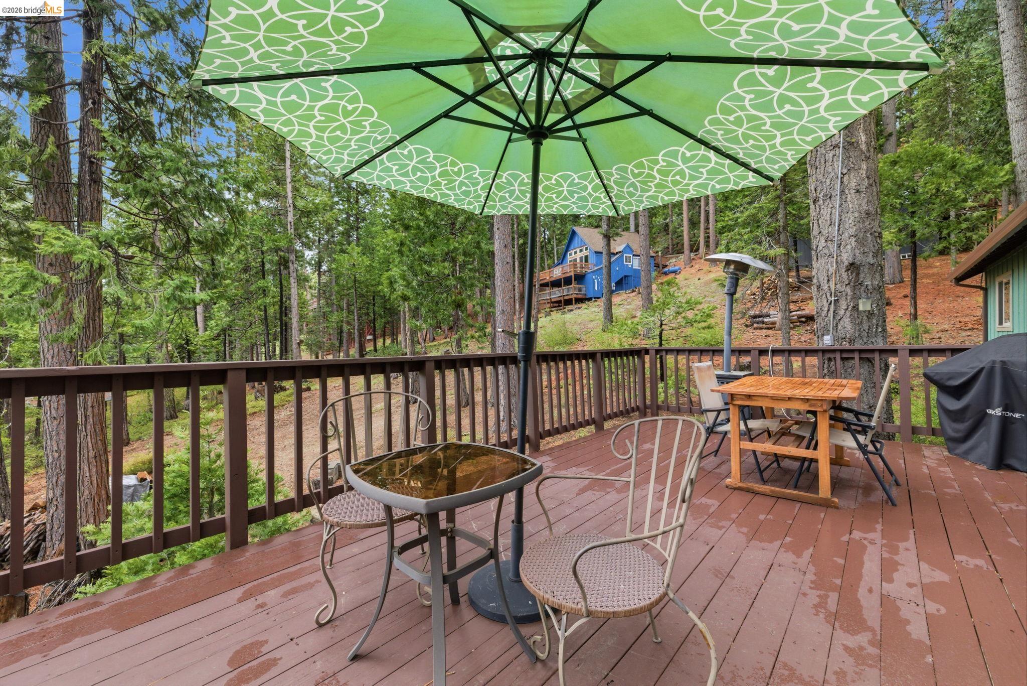 29428 Shasta Dr, Cold Springs CA 95364 — photo 27