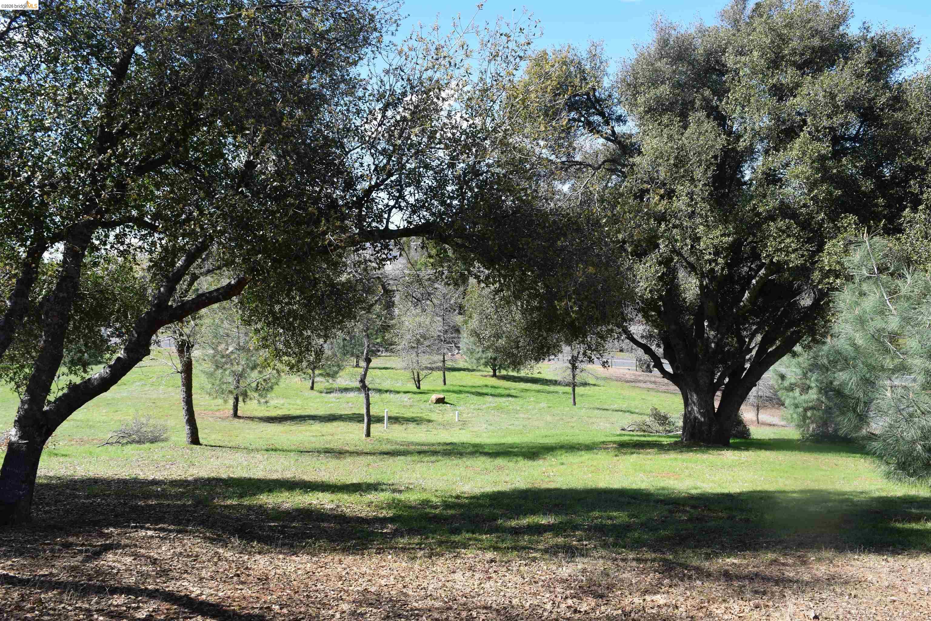 16592 Parkridge Ave, Sonora CA 95370 — photo 59