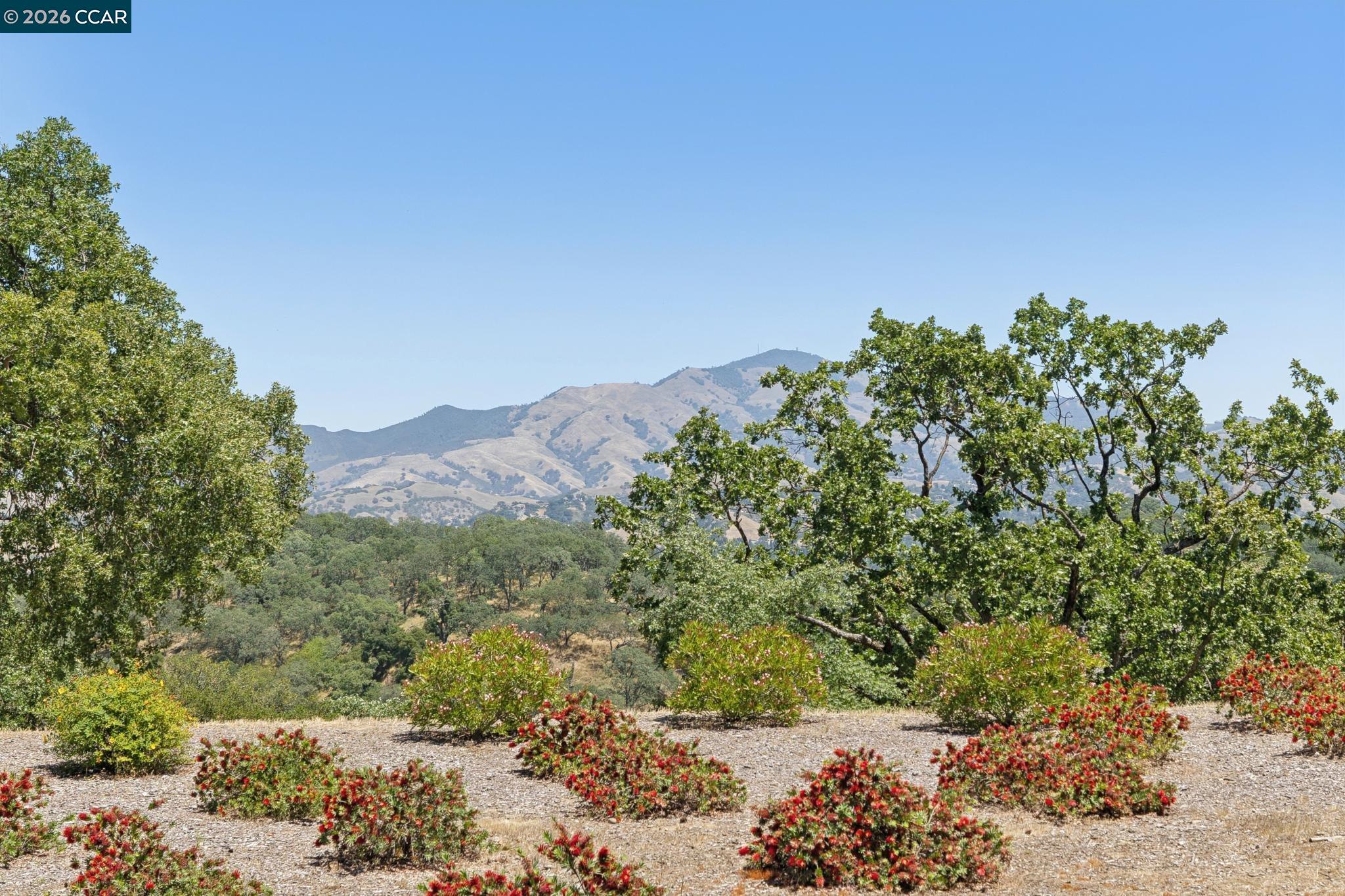 Photo #27: 41133169 Listing: Photo #27