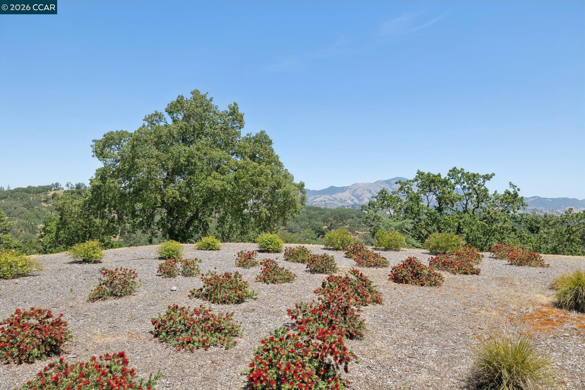 Photo #28: 41133169 Listing: Photo #28